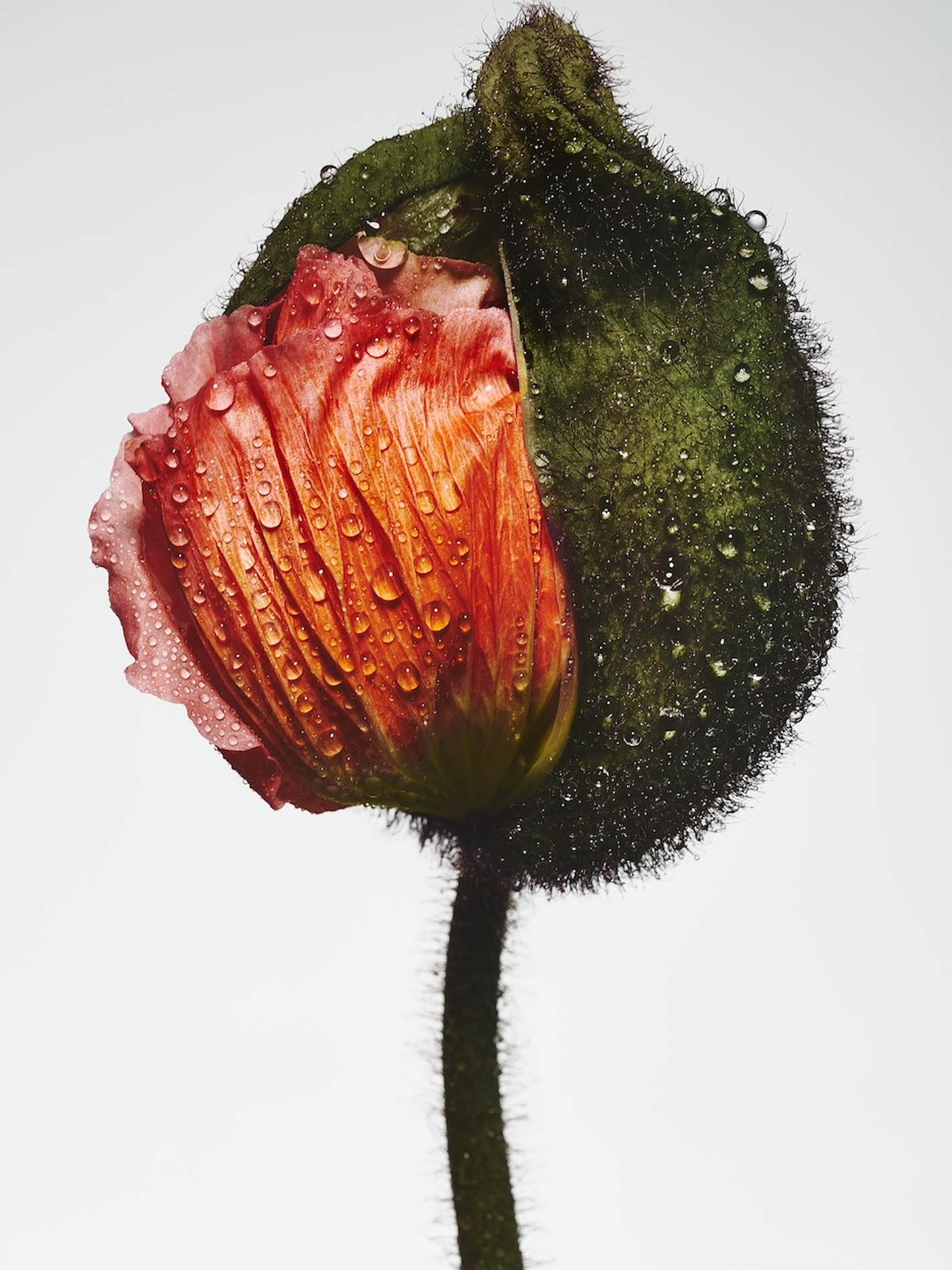 36 Fernando Gomez Craetive Paris Beauty Suncare