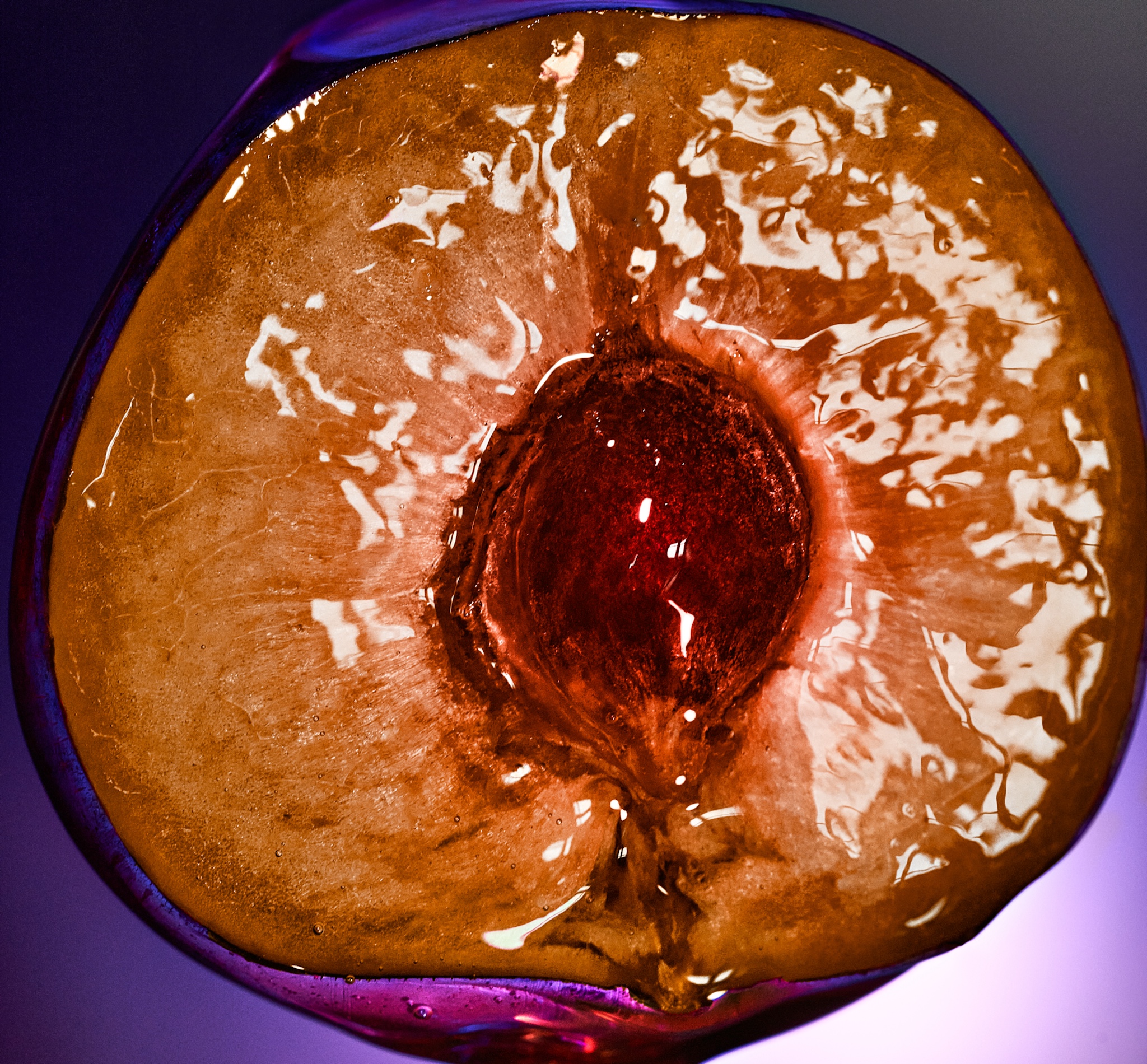 37 Fernando Gomez Craetive Paris Fragrances Flowers