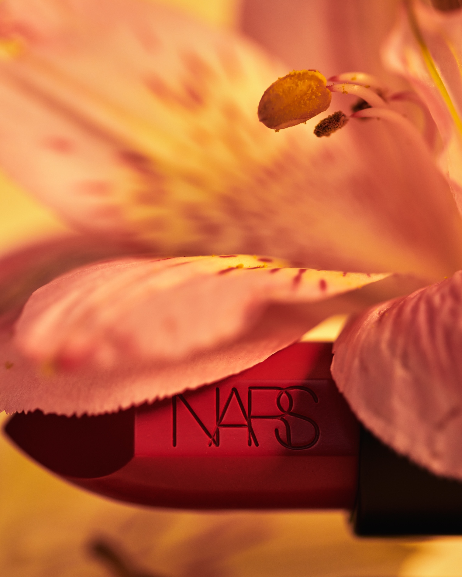 38 Fernando Gomez Craetive Paris Beauty Suncare