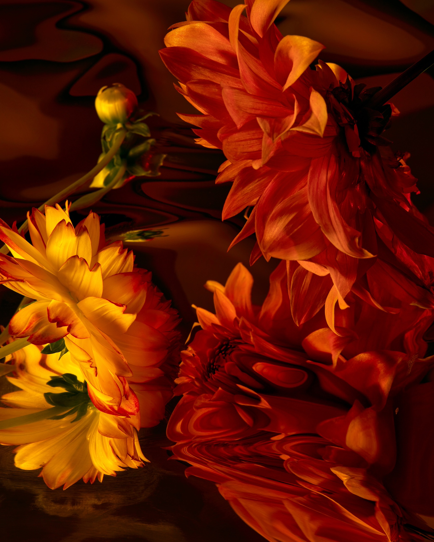 38 Thyrse Craetive Paris Portfolio BO 11