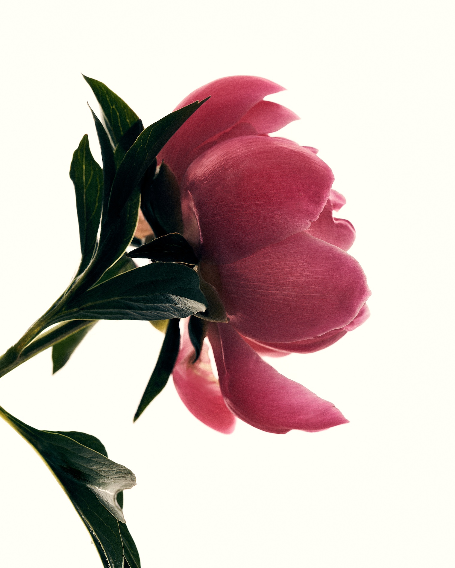 39 Fernando Gomez Craetive Paris Beauty Suncare