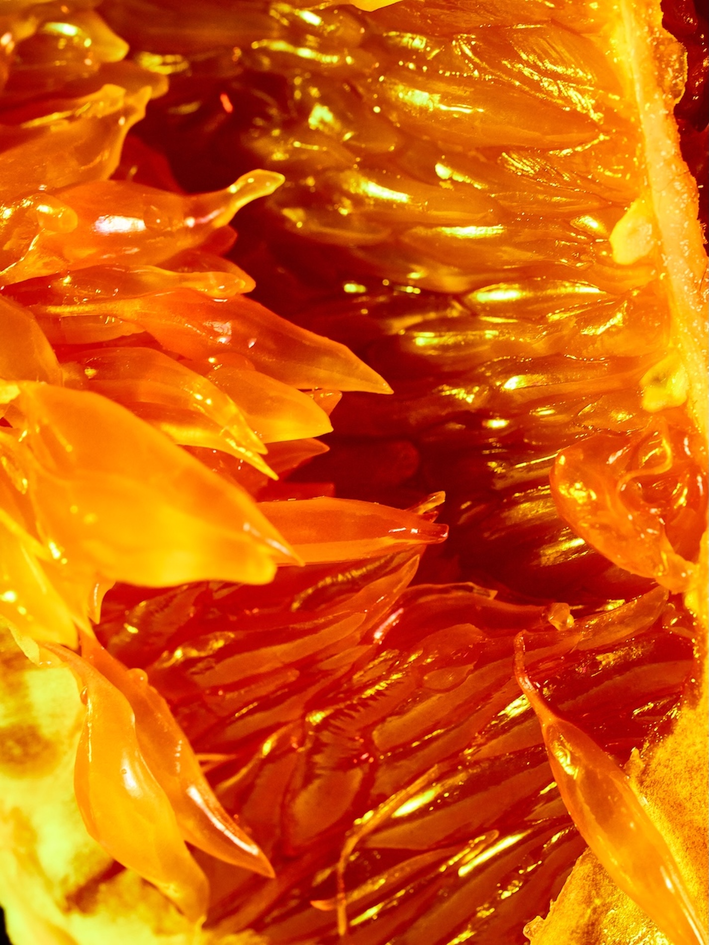 40 Fernando Gomez Craetive Paris Fragrances Flowers