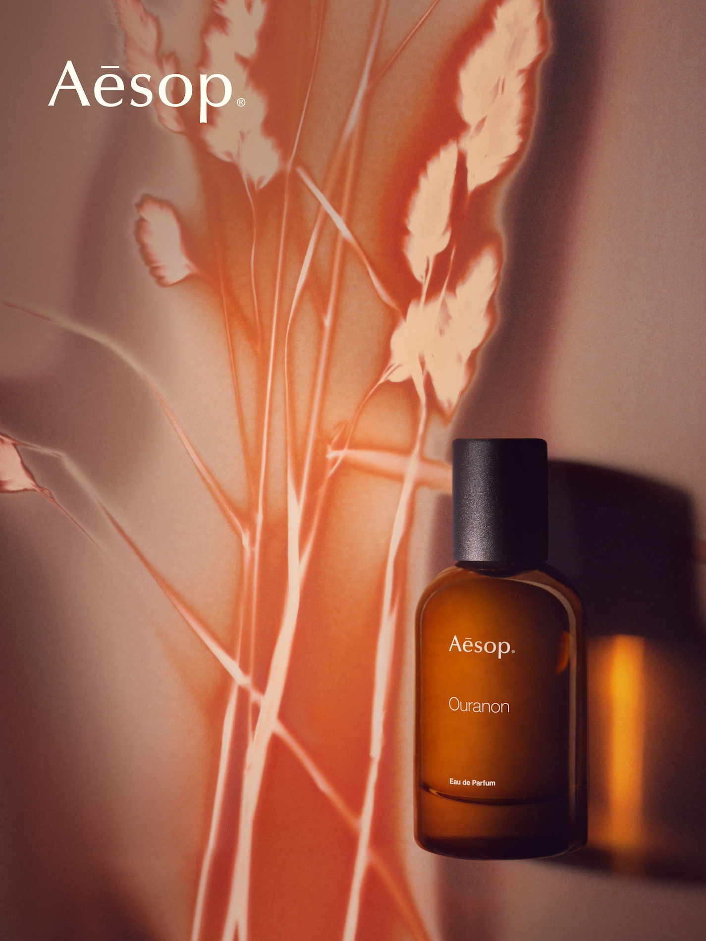 40 Thyrse Craetive Paris Portfolio Aesop Ouranon