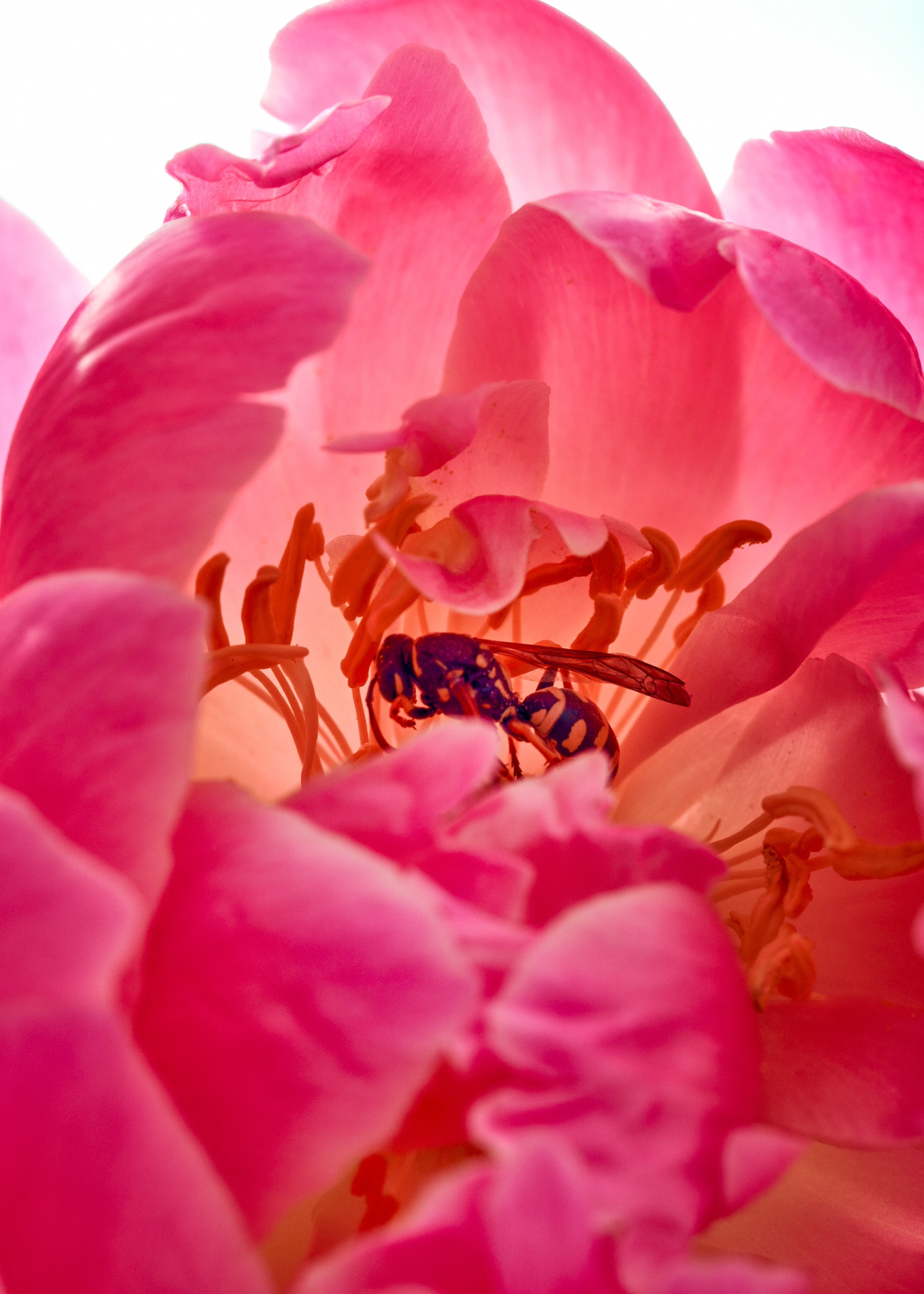 42 Fernando Gomez Craetive Paris Beauty Suncare