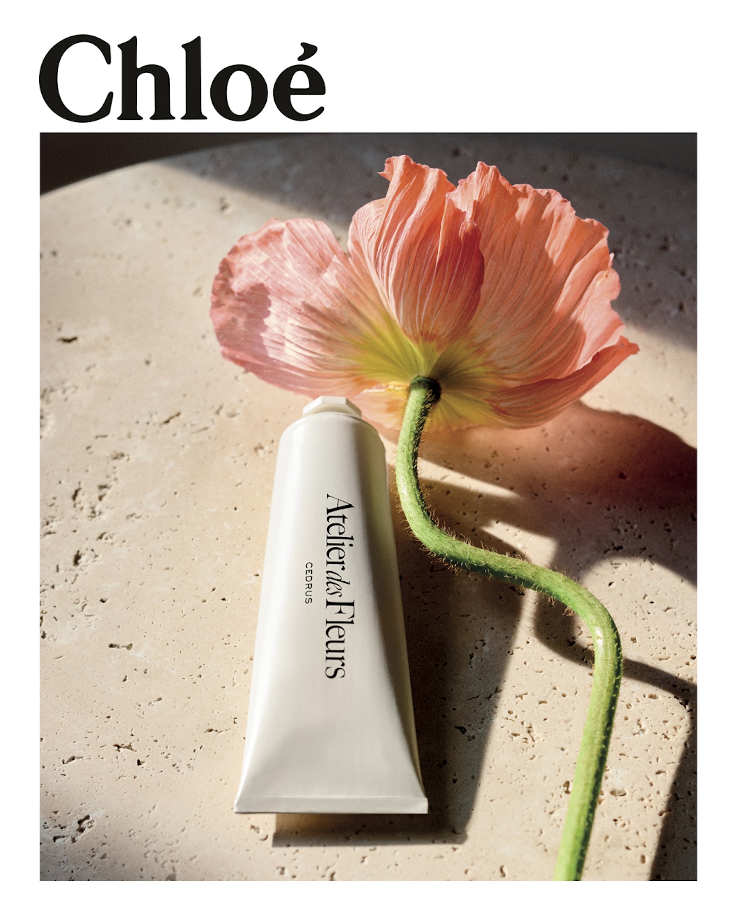 42 Thyrse Craetive Paris Portfolio Chloe3