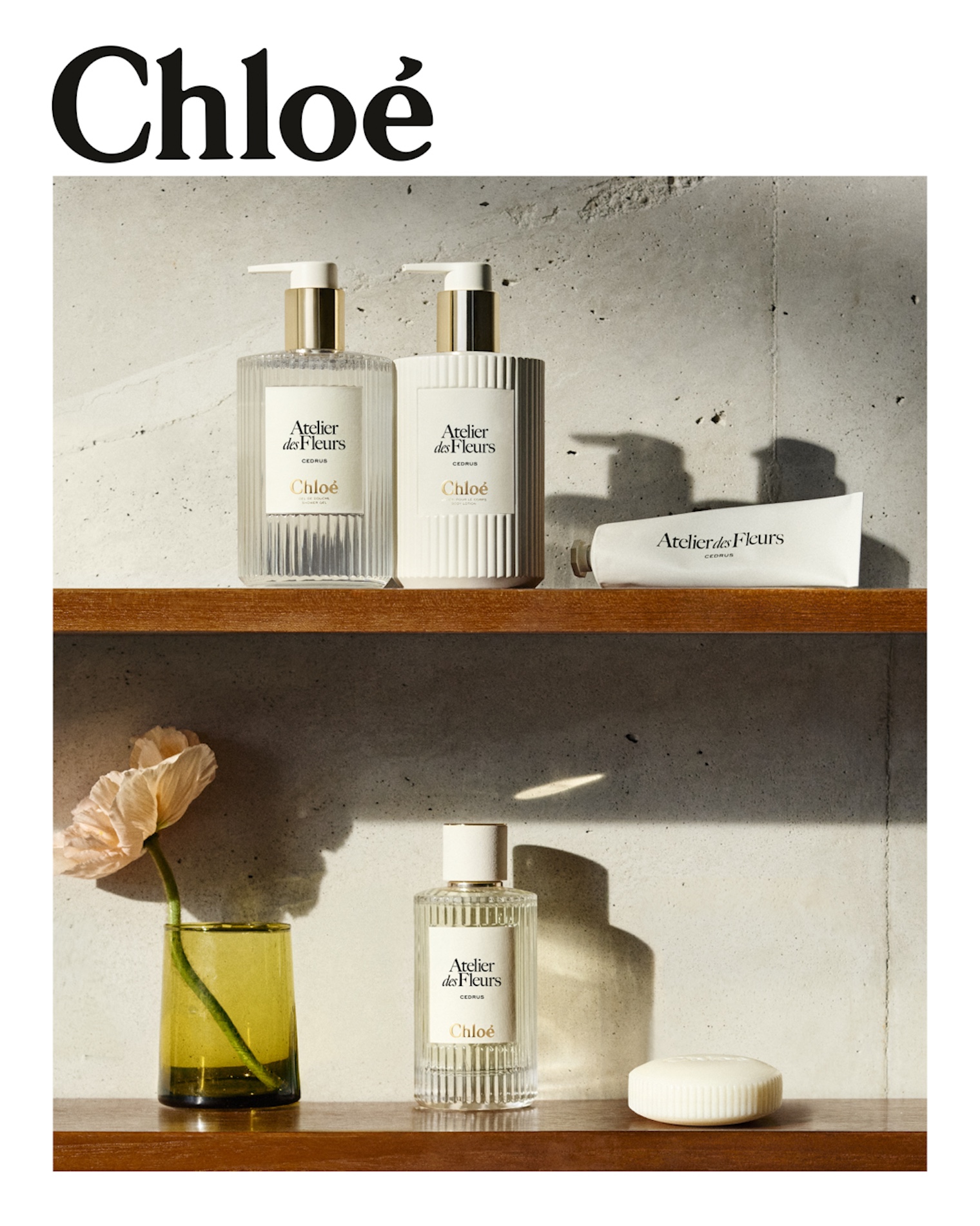 43 Thyrse Craetive Paris Portfolio Chloe2