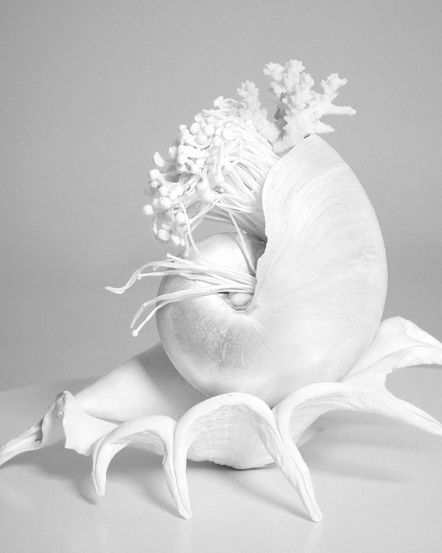 45 Fernando Gomez Craetive Paris Beauty Skincare