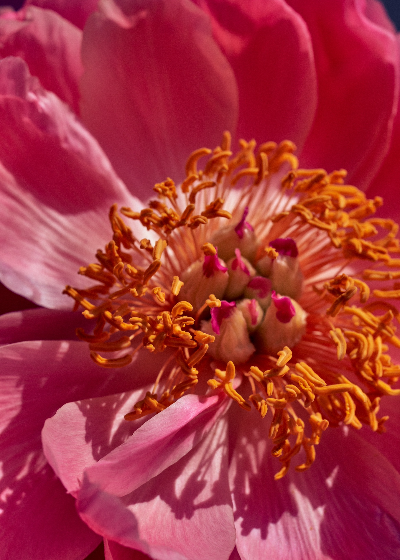 47 Fernando Gomez Craetive Paris Beauty Suncare