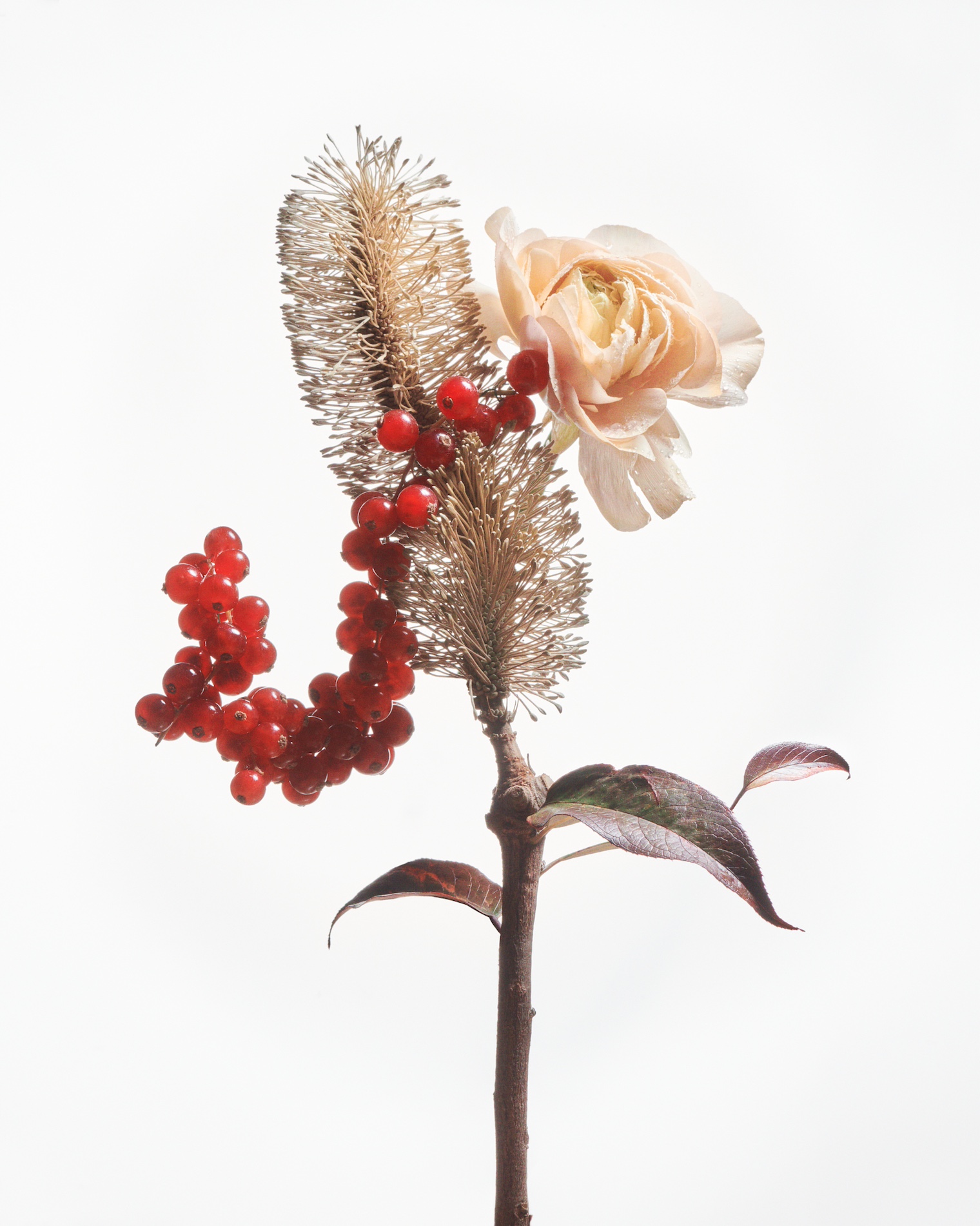 49 Thyrse Craetive Paris Portfolio QL 01