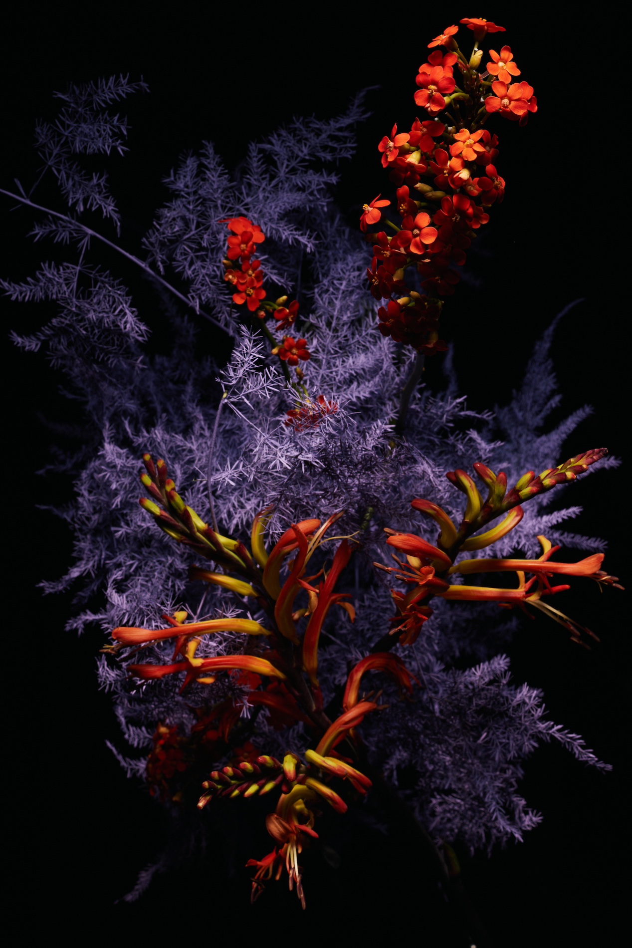 51 Thyrse Craetive Paris Portfolio UF 03