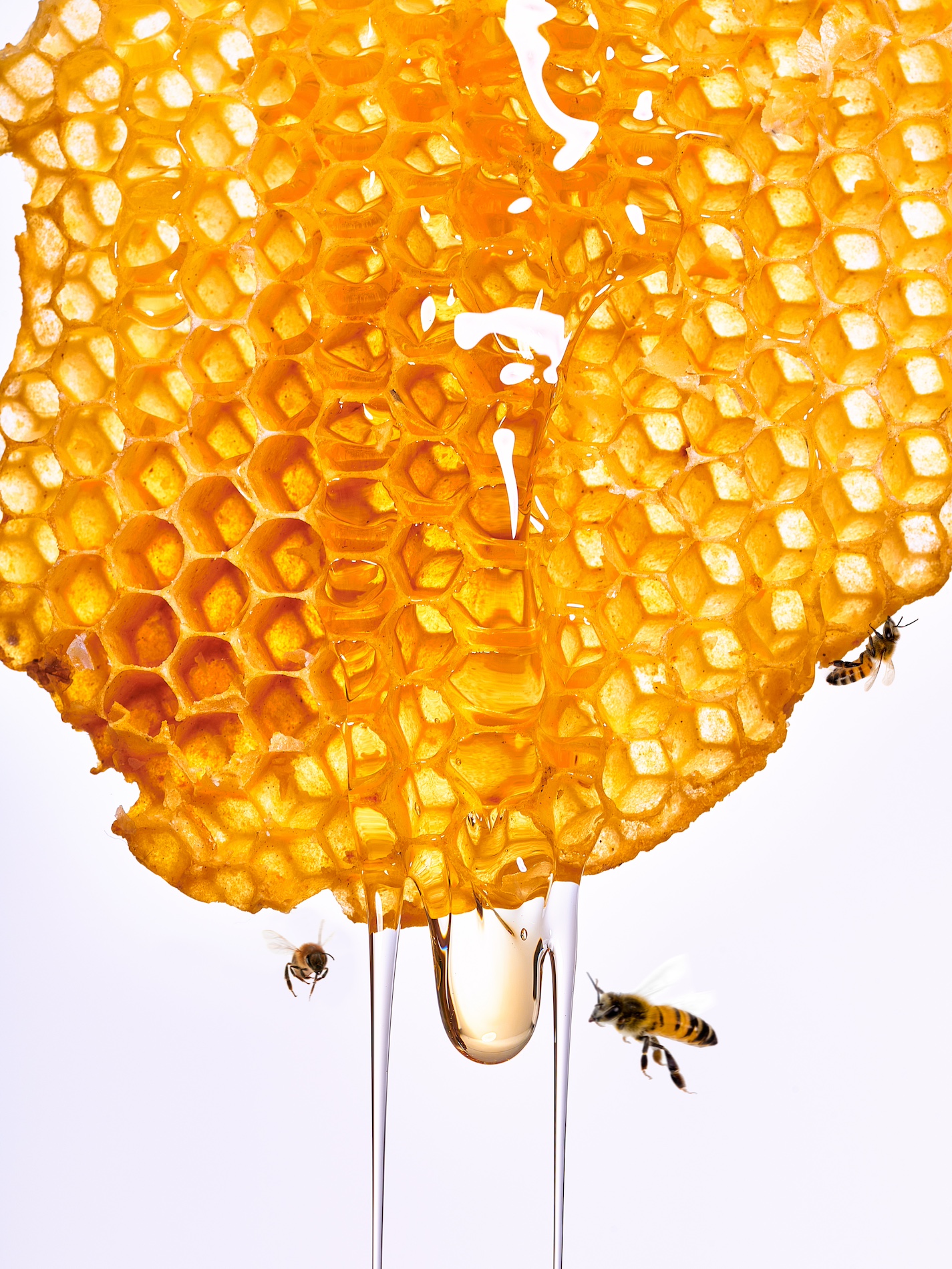 53 Fernando Gomez Craetive Paris Beauty Skincare