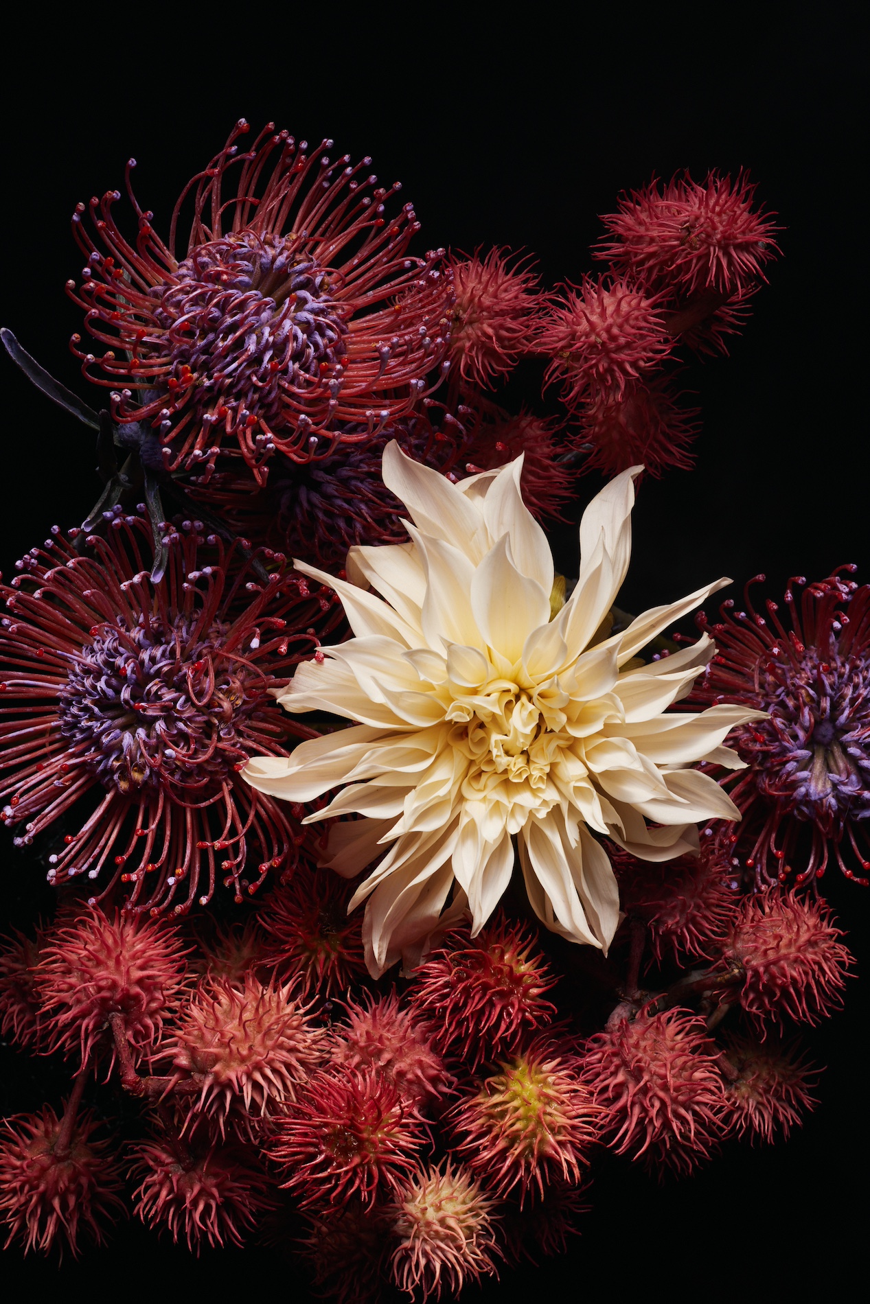 54 Thyrse Craetive Paris Portfolio UF 01