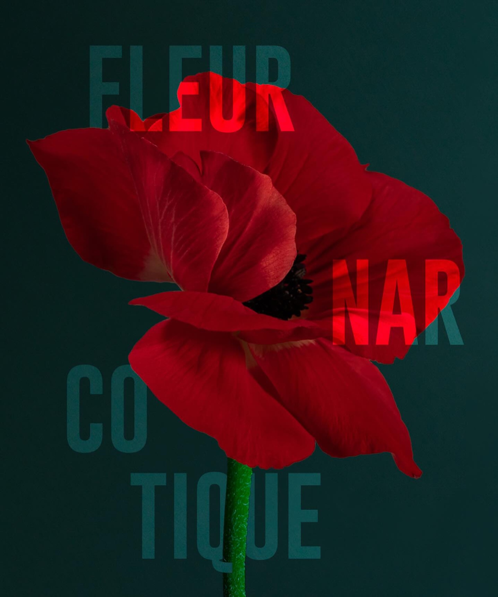 55 Thyrse Craetive Paris Portfolio Exnihilo Paris2