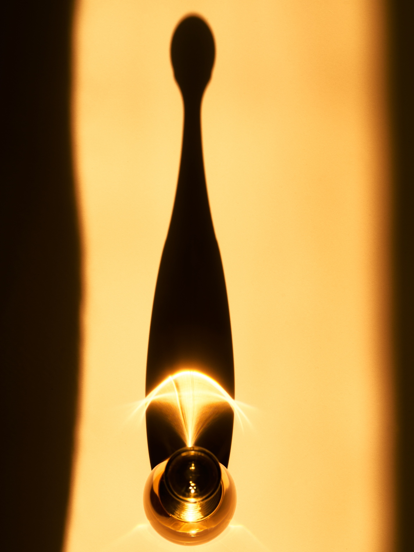 56 Fernando Gomez Craetive Paris Fragrances Flowers