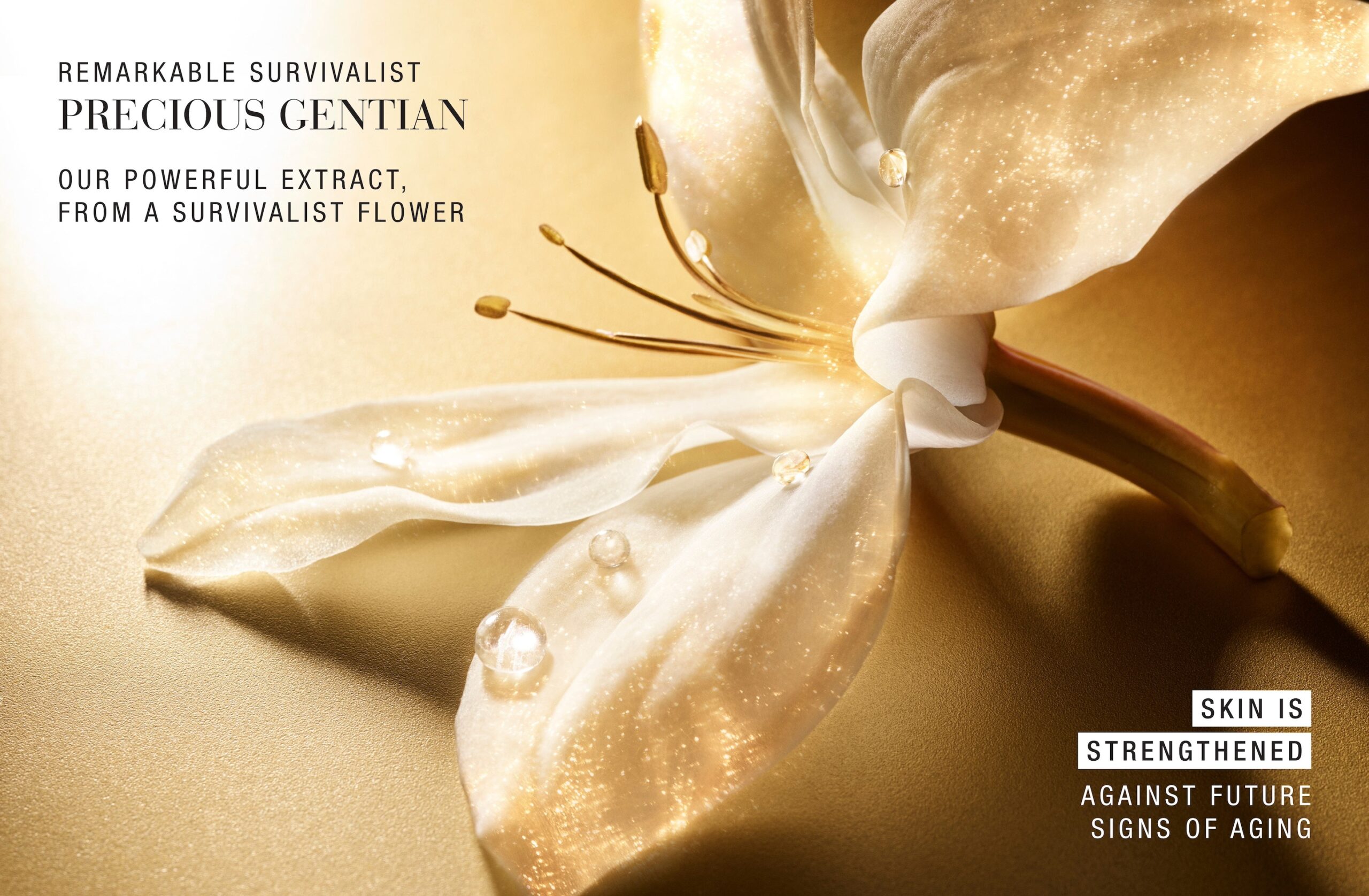 56 Simon Escourbiac Craetive Paris Estee Lauder