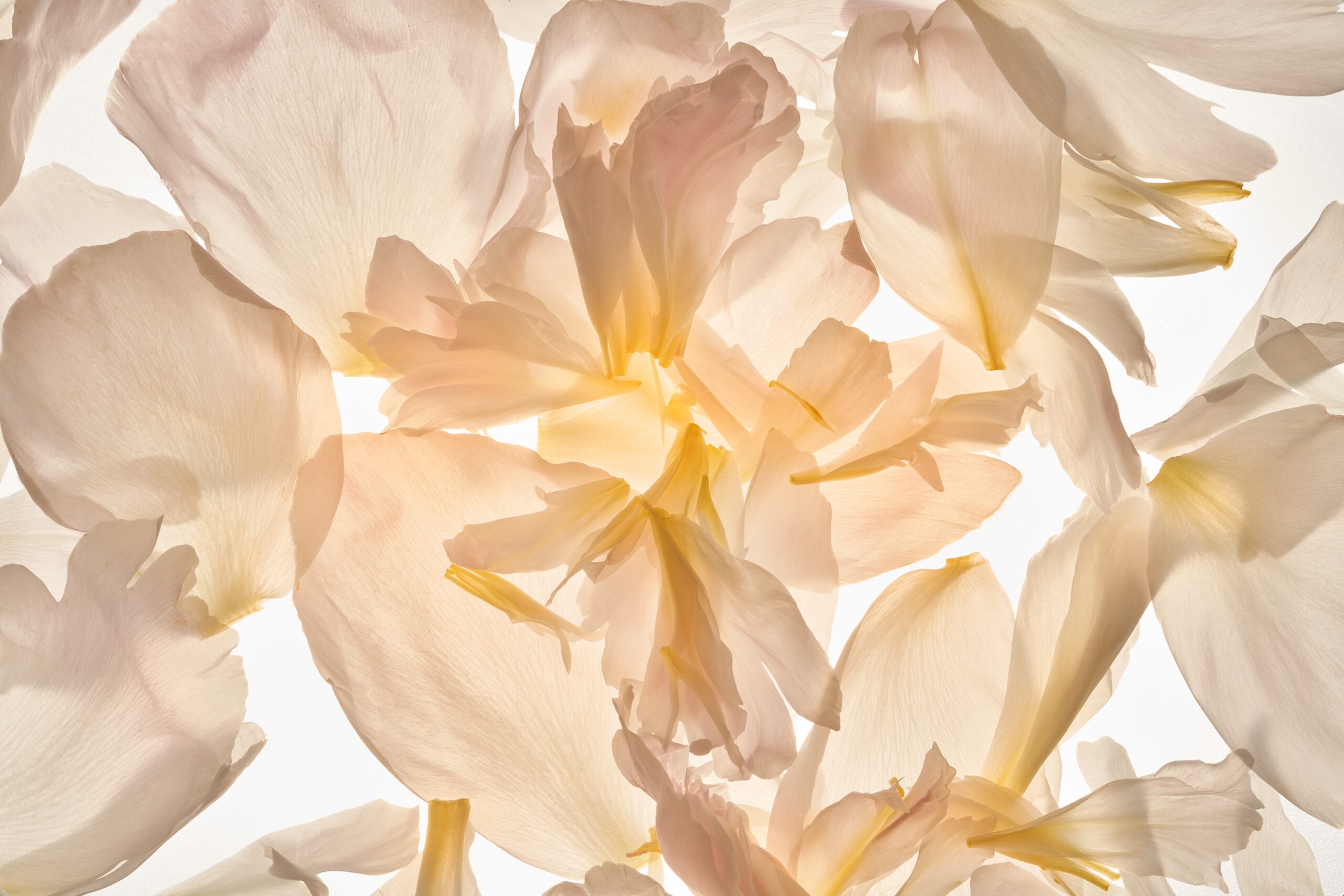 57 Fernando Gomez Craetive Paris Beauty Suncare