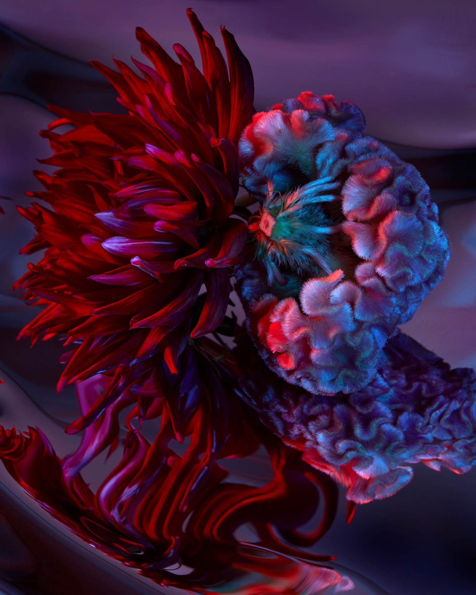 57 Thyrse Craetive Paris Portfolio BO 08