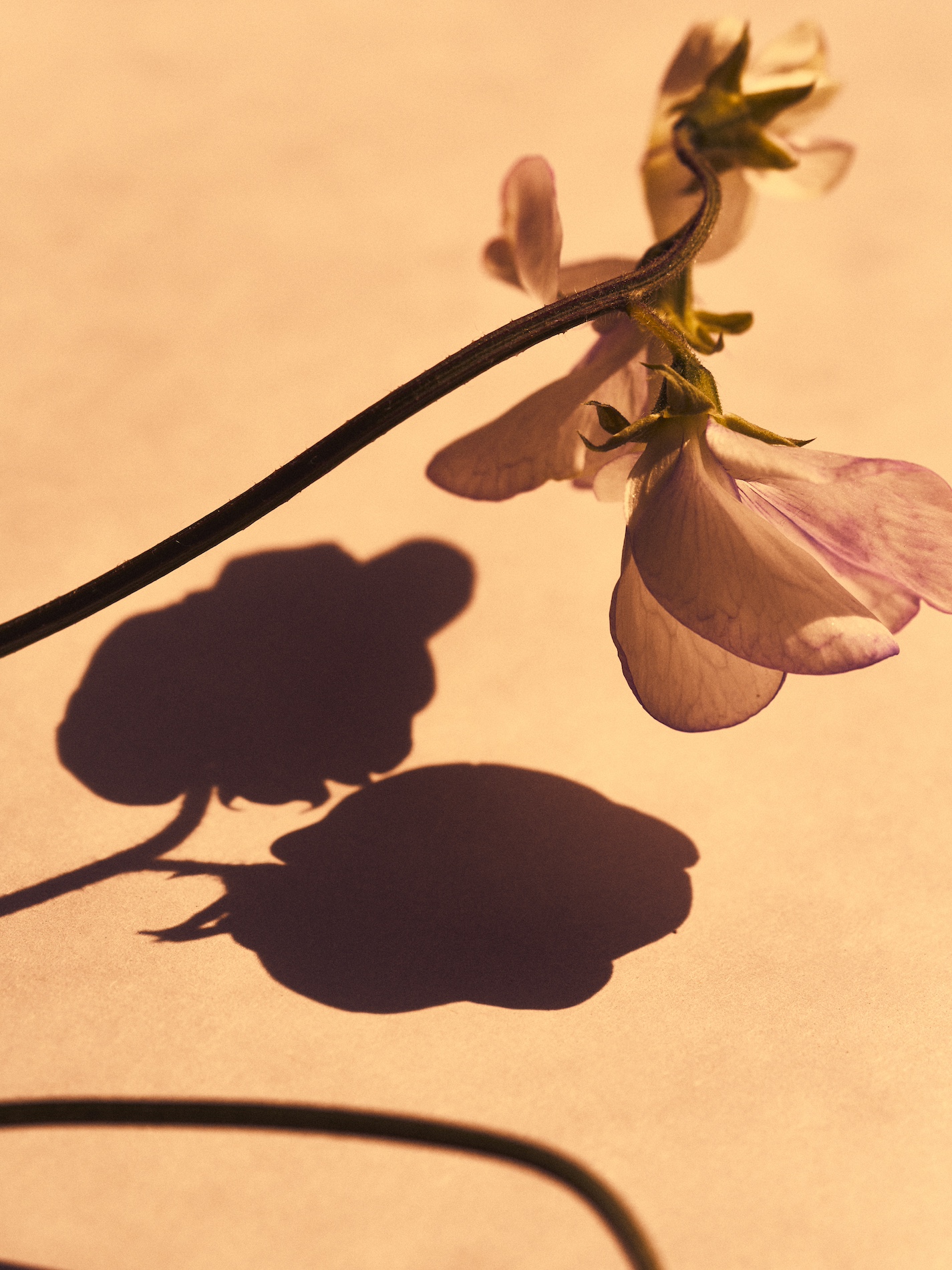 59 Fernando Gomez Craetive Paris Beauty Suncare