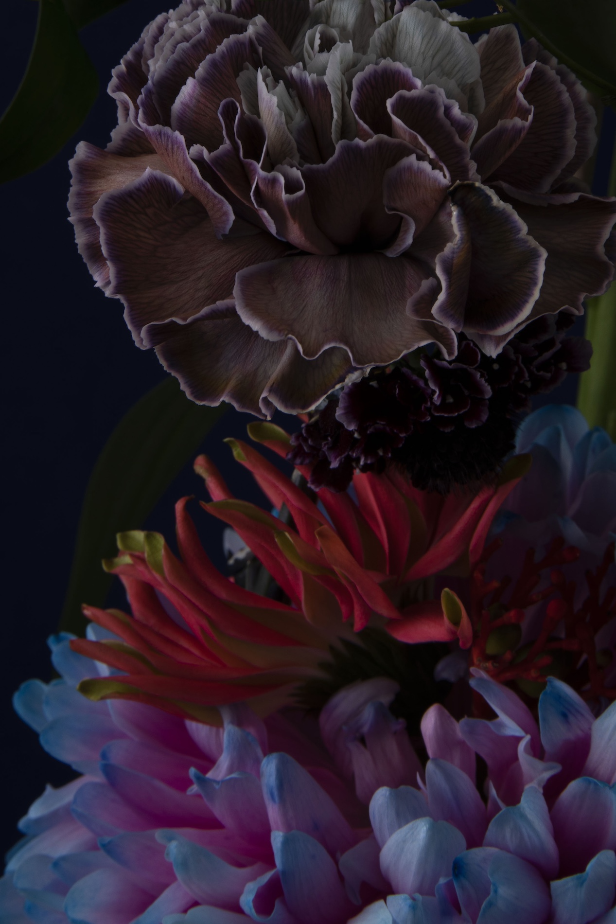 60 Thyrse Craetive Paris Portfolio DH 09