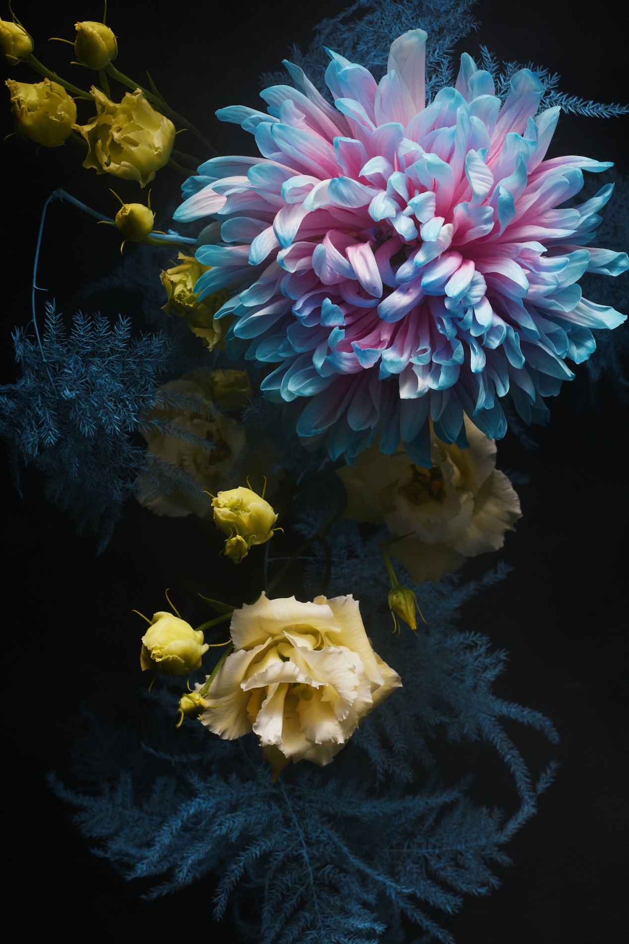 62 Thyrse Craetive Paris Portfolio UF 02