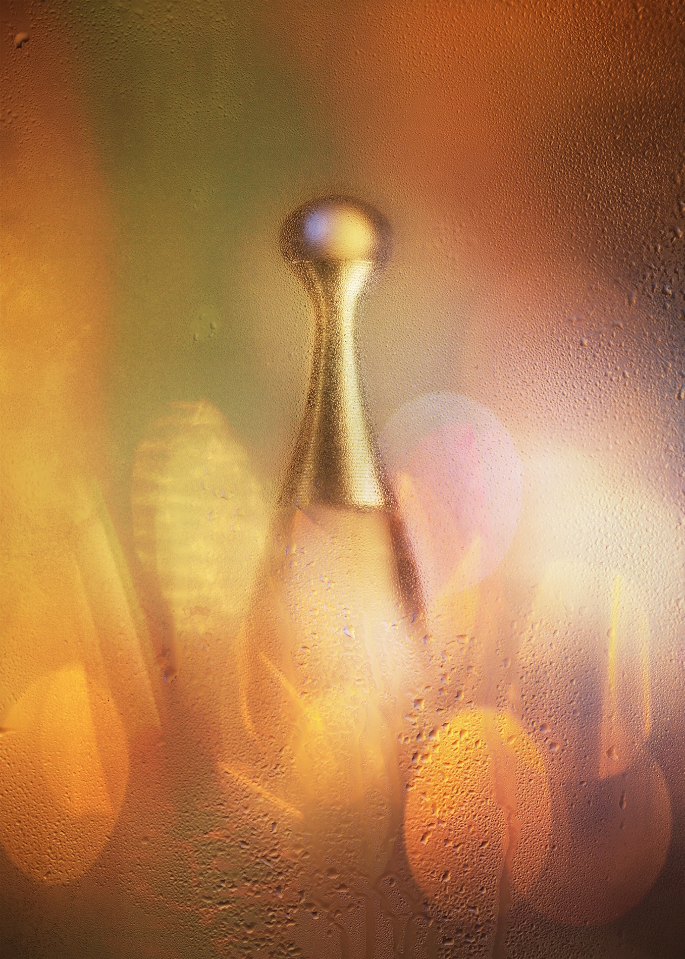 65 Jean Baptiste Degez Fragrances Craetive Paris DIOR