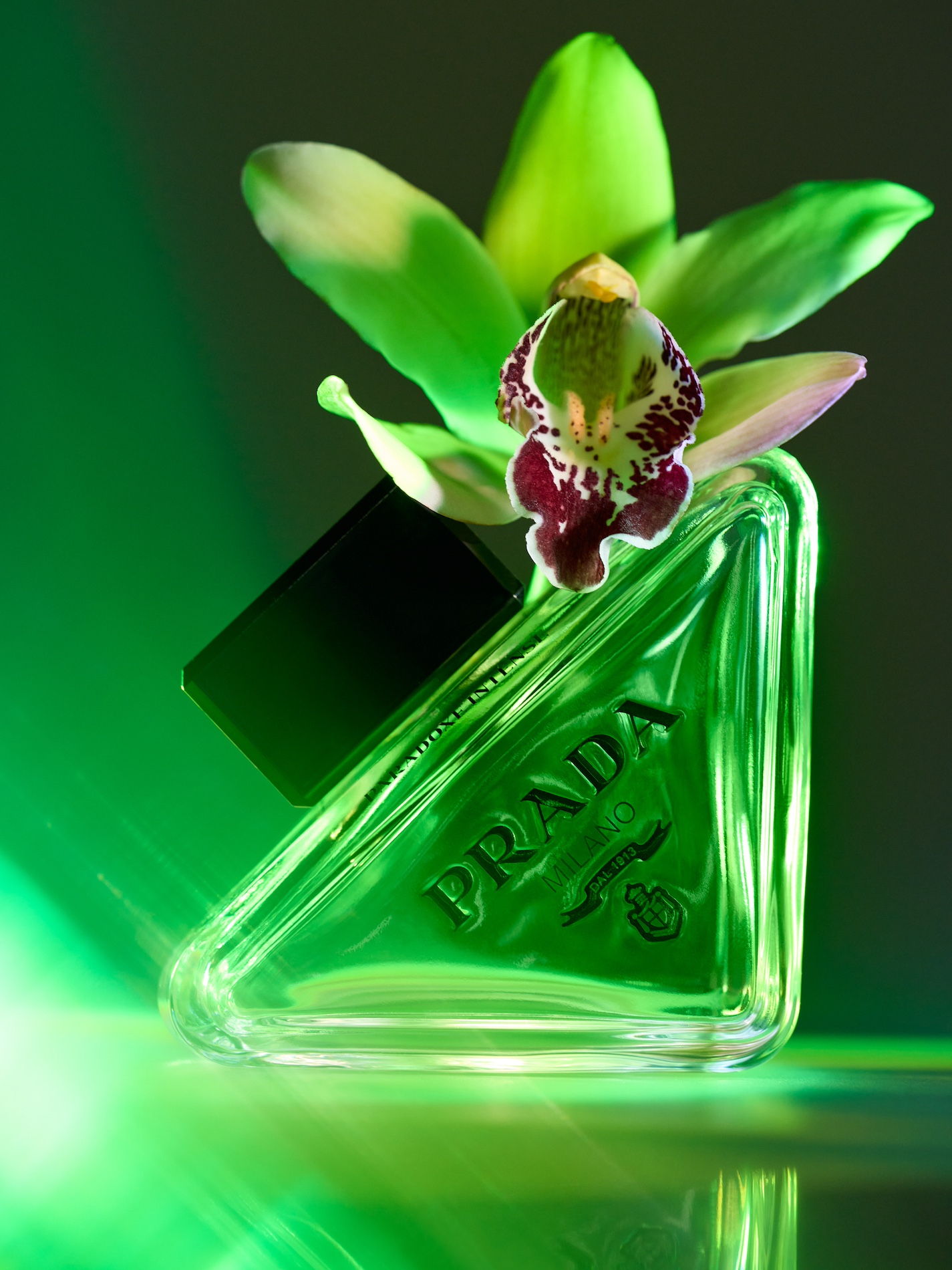 66 Fernando Gomez Craetive Paris Fragrances Flowers