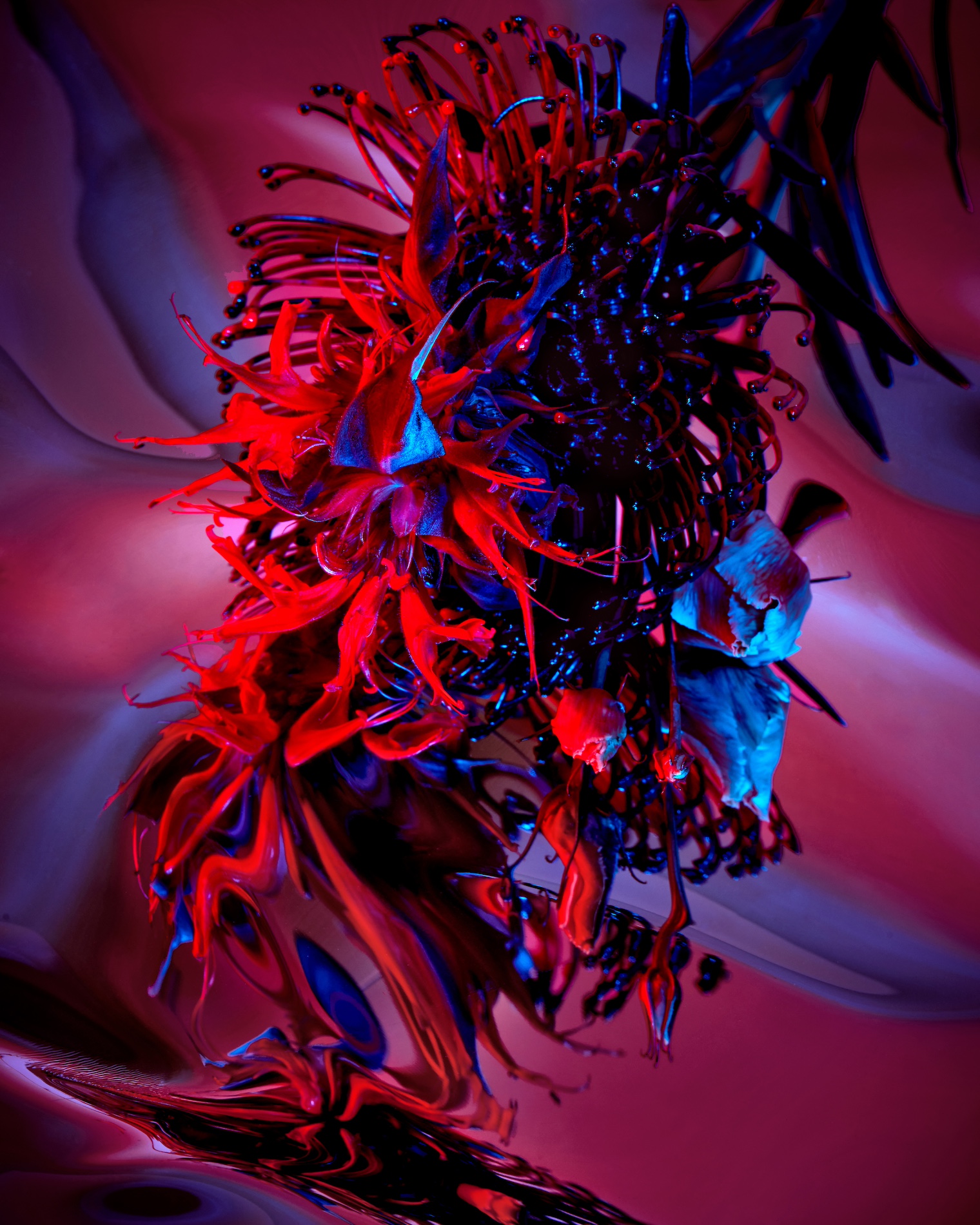 67 Thyrse Craetive Paris Portfolio BO 03