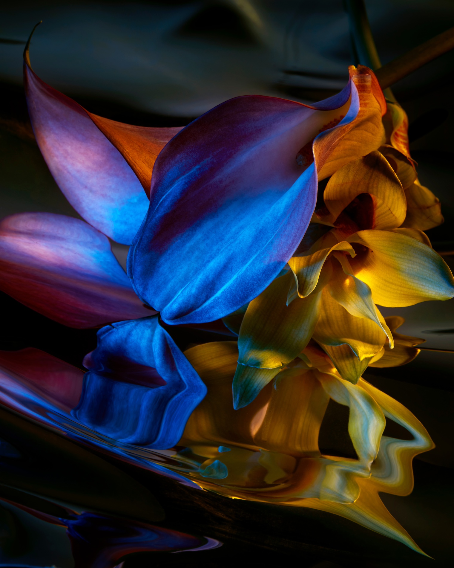 68 Thyrse Craetive Paris Portfolio BO 07