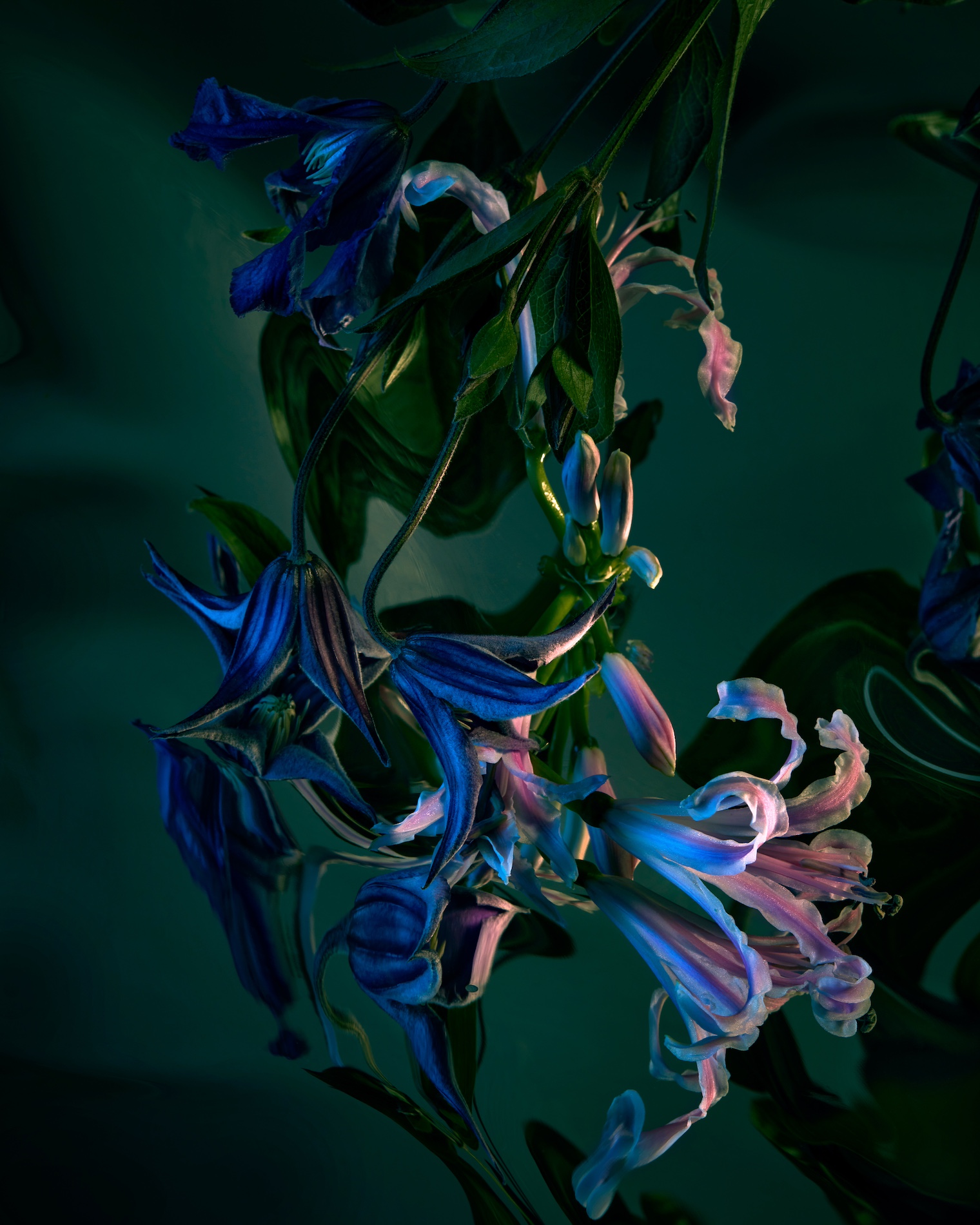 70 Thyrse Craetive Paris Portfolio BO 10