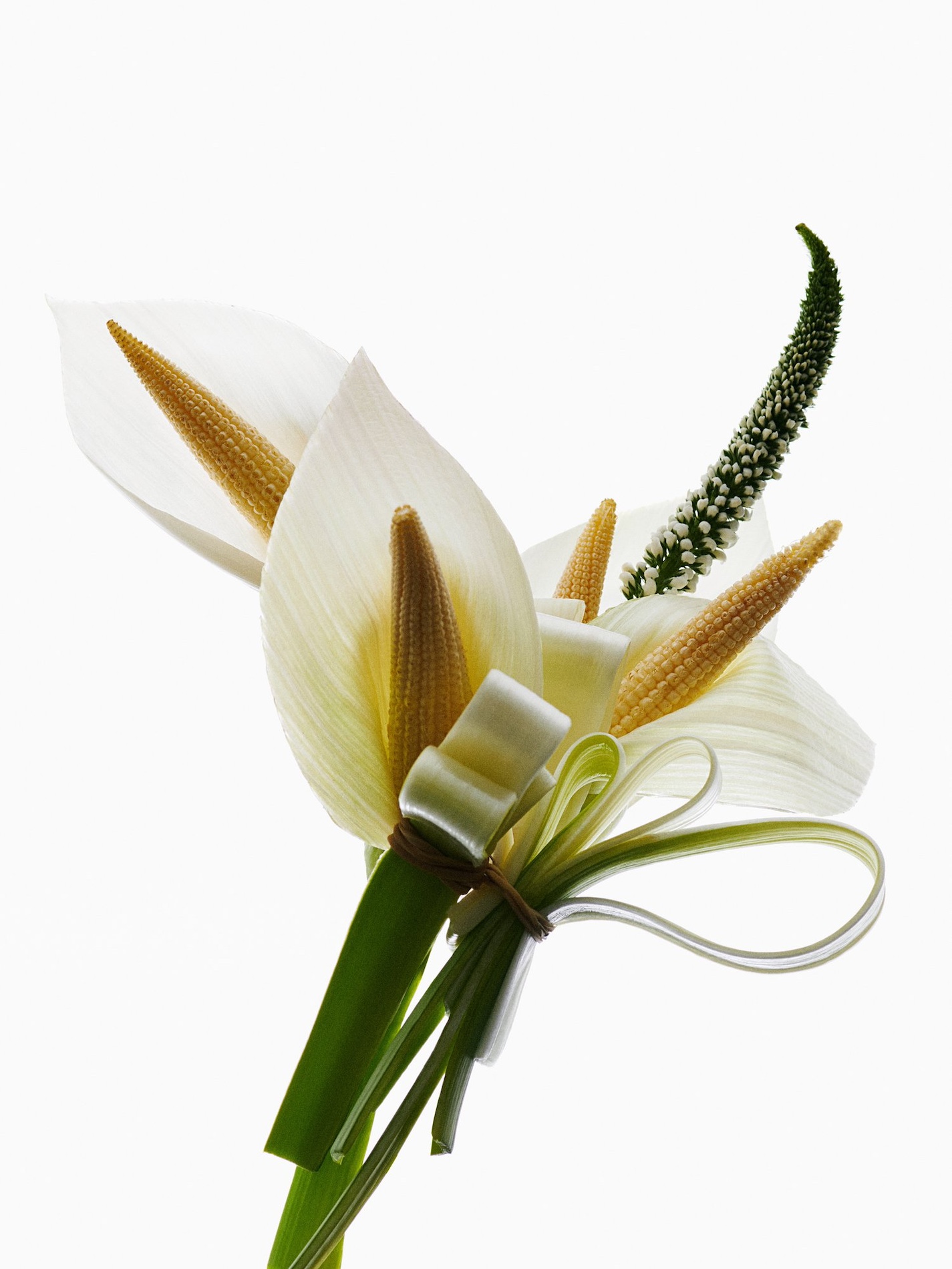 73 Thyrse Craetive Paris Portfolio L Hybrids 07