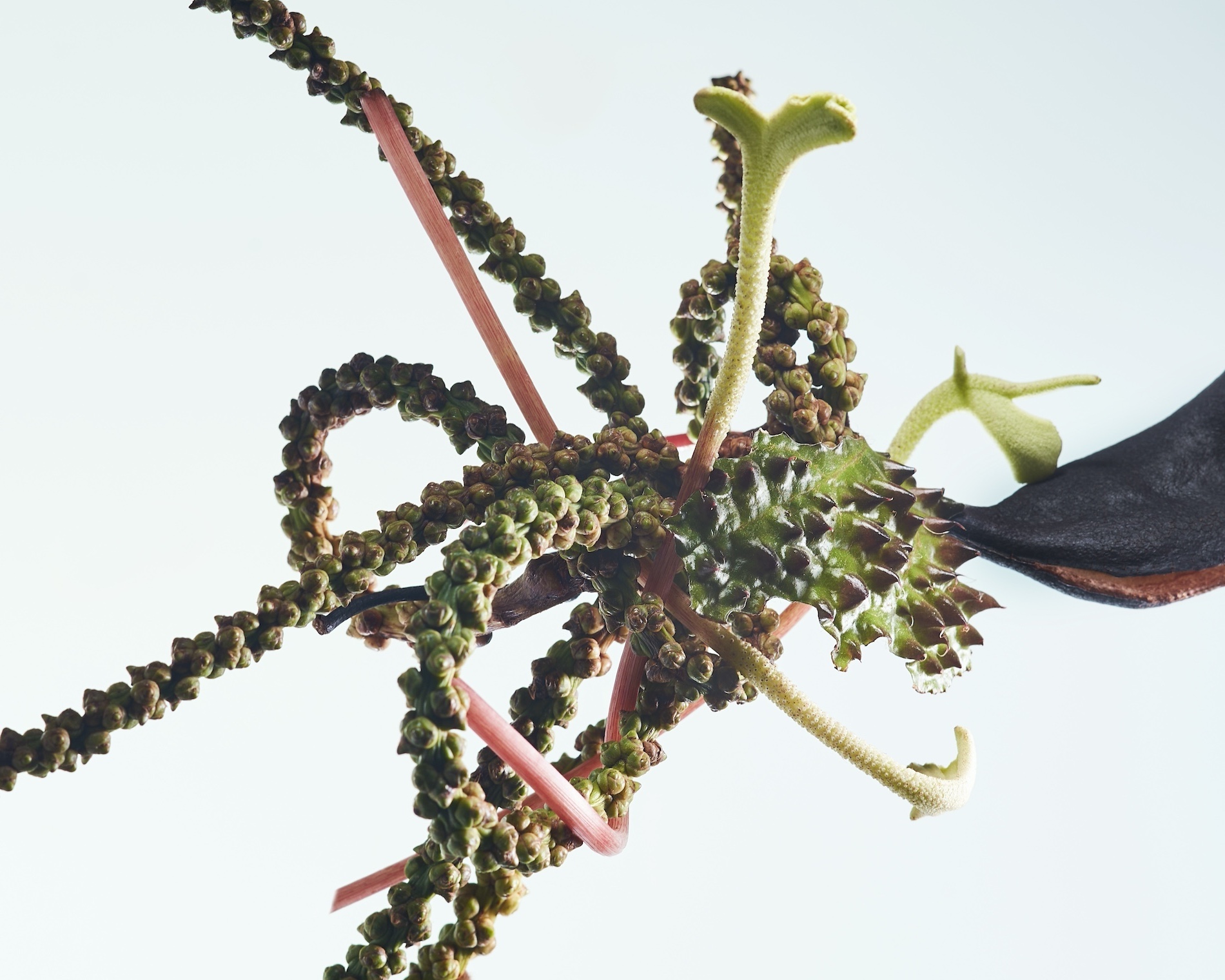 81 Thyrse Craetive Paris Portfolio MA Sculpturs 05