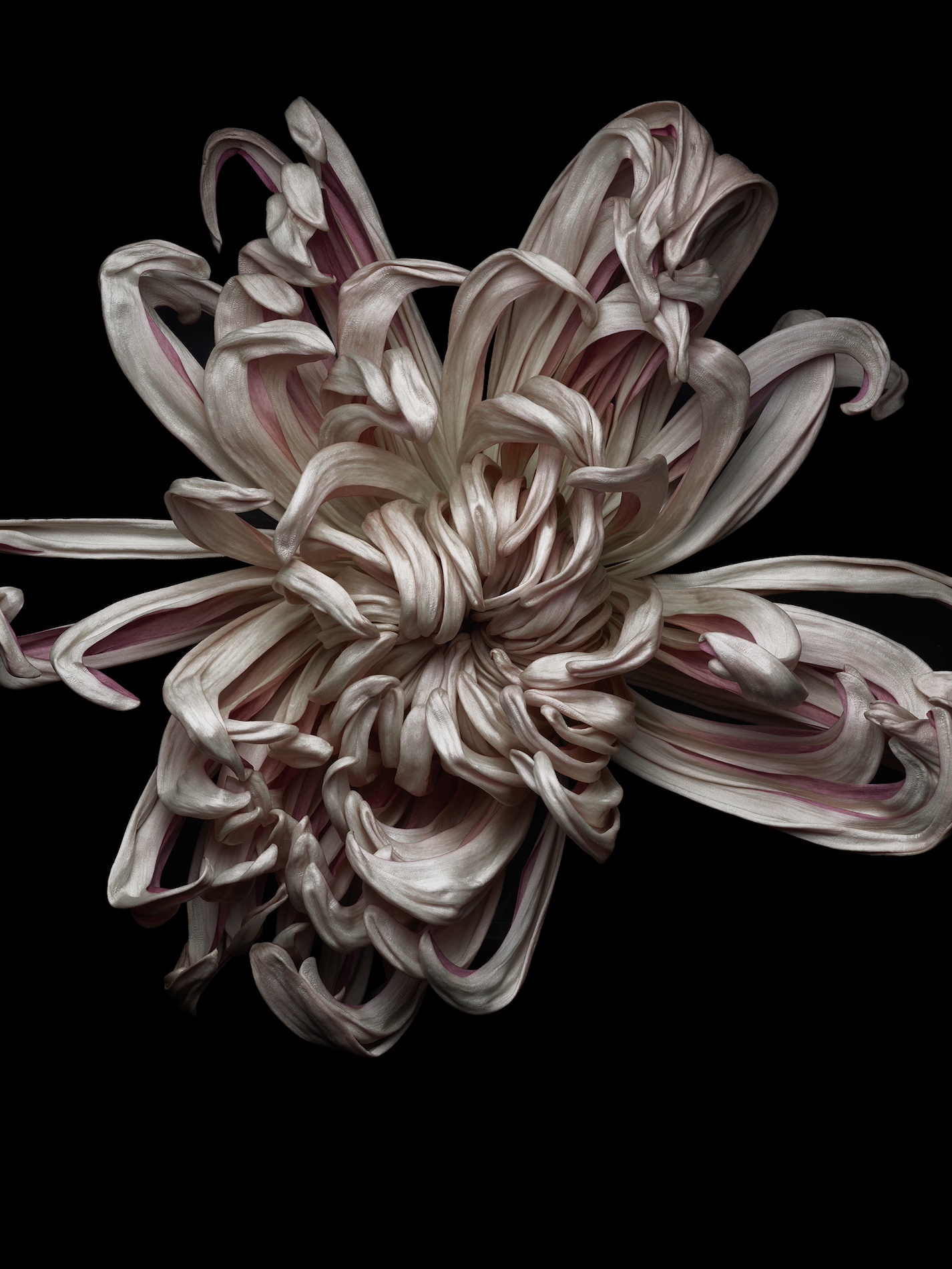 84 Thyrse Craetive Paris Portfolio Jean Baptiste Degez N04