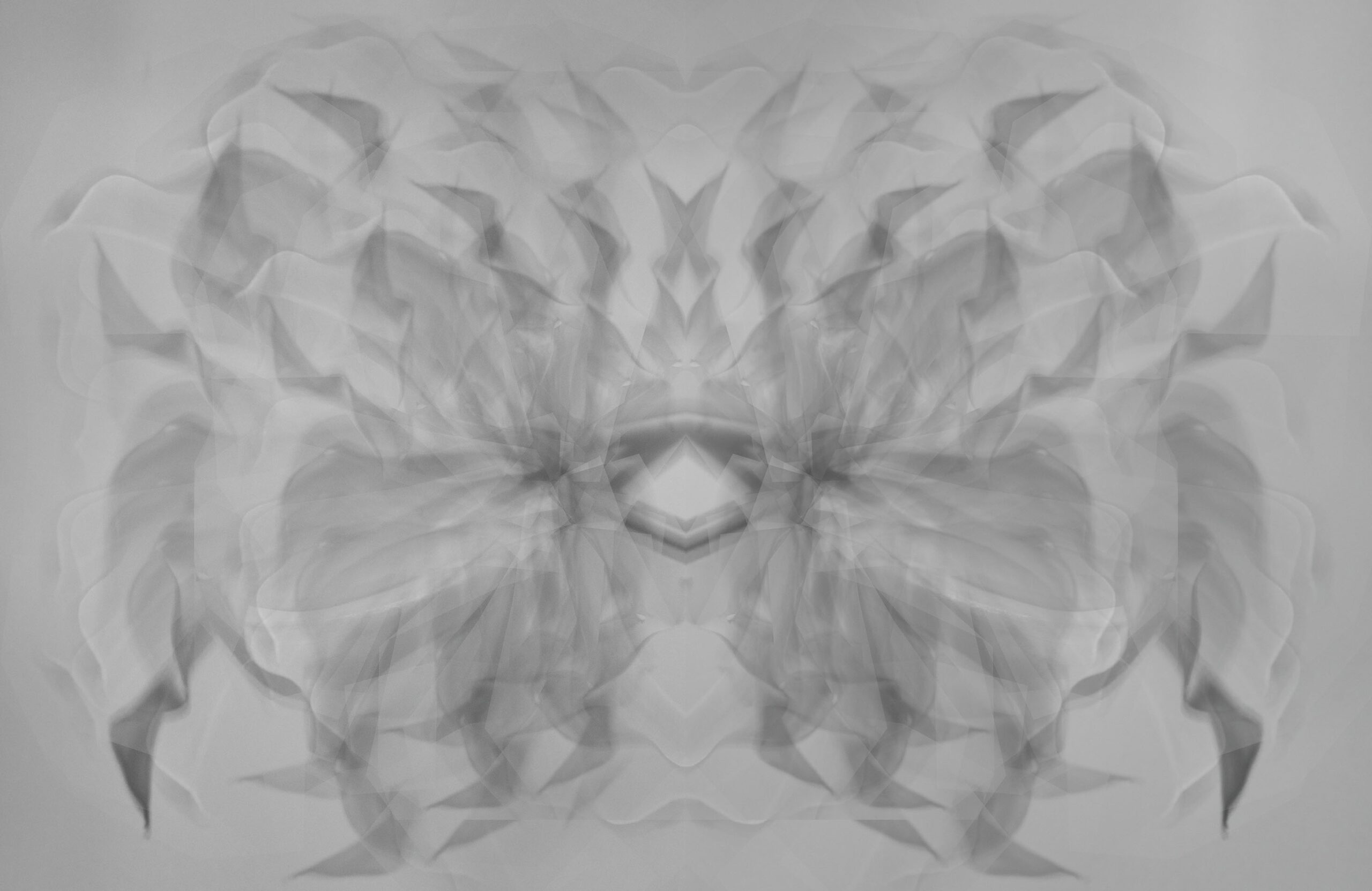 85 Thyrse Craetive Paris Portfolio CB 01 Scaled