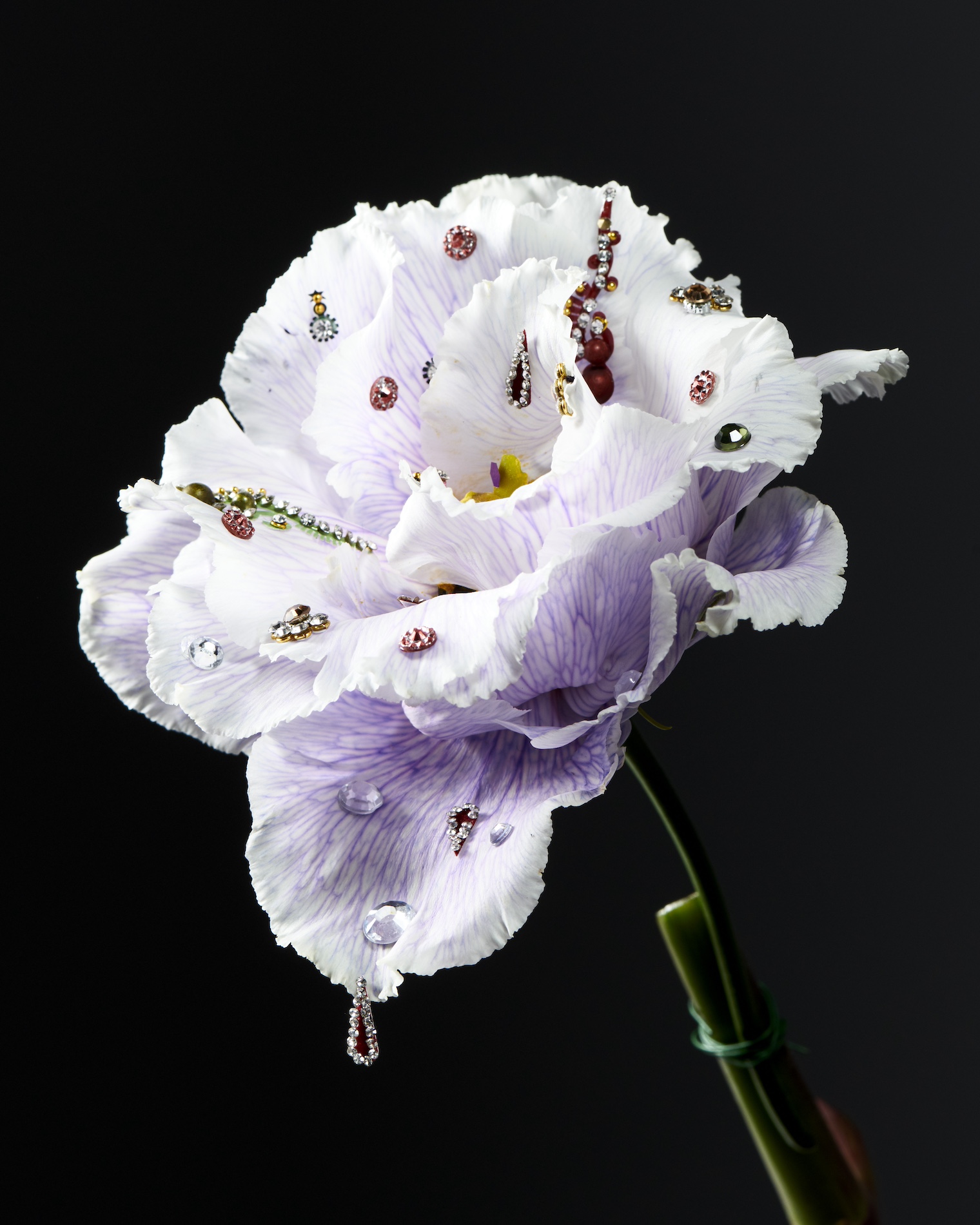 86 Thyrse Craetive Paris Portfolio CG 02