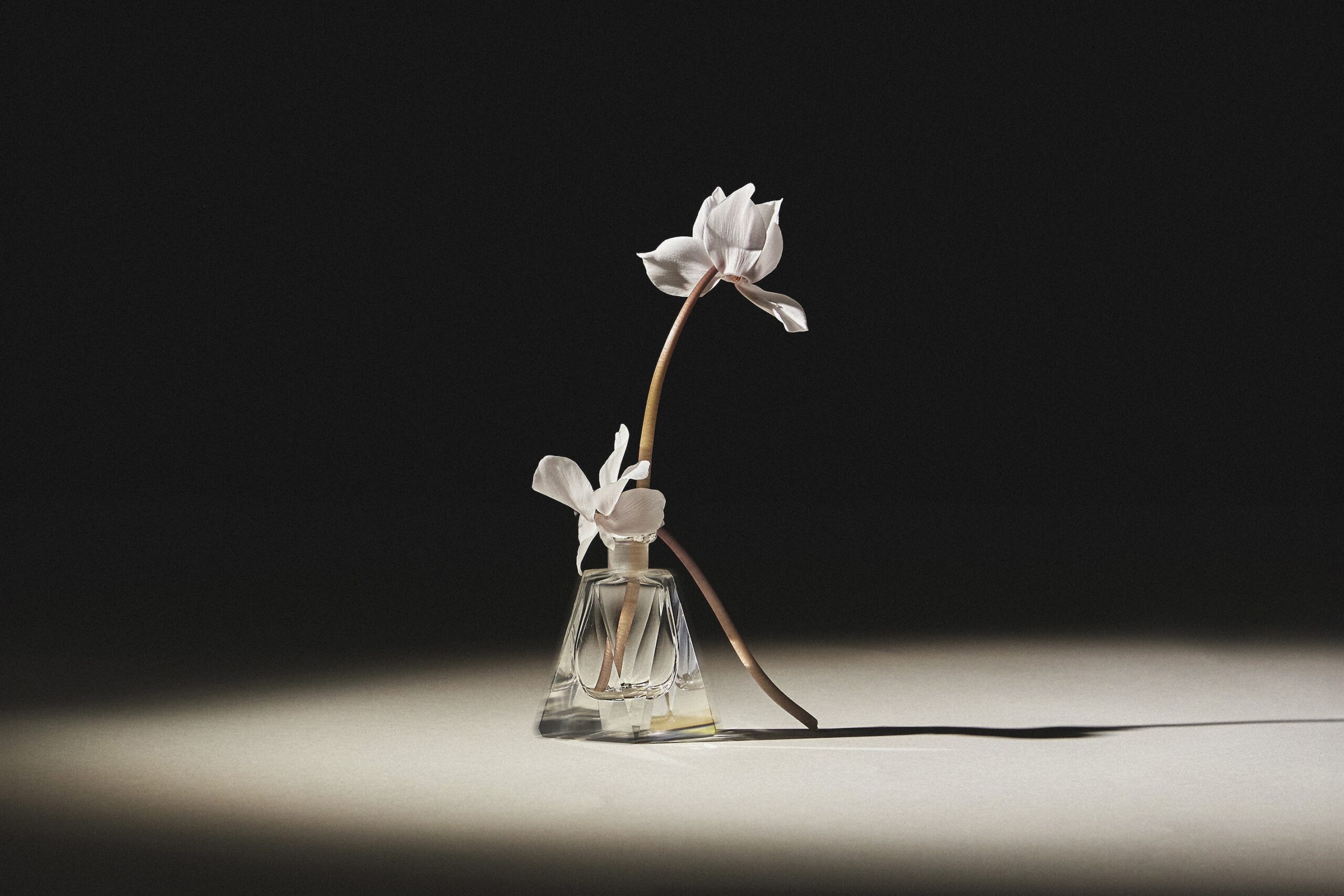 88 Thyrse Craetive Paris Portfolio Blumenhaus07 Scaled