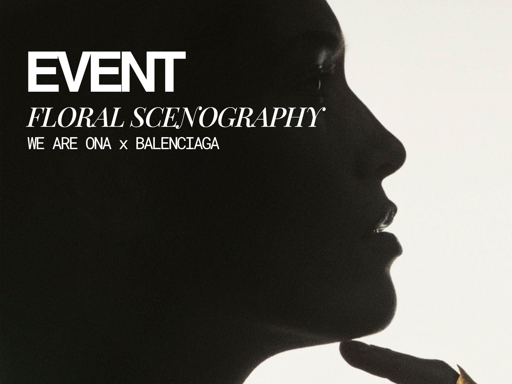 Design Sans Titre (3)