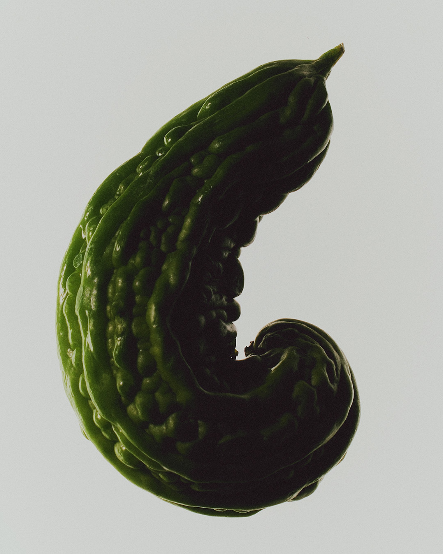 Oscar Calleja Craetive Paris Stories 035 H SABLE LABS