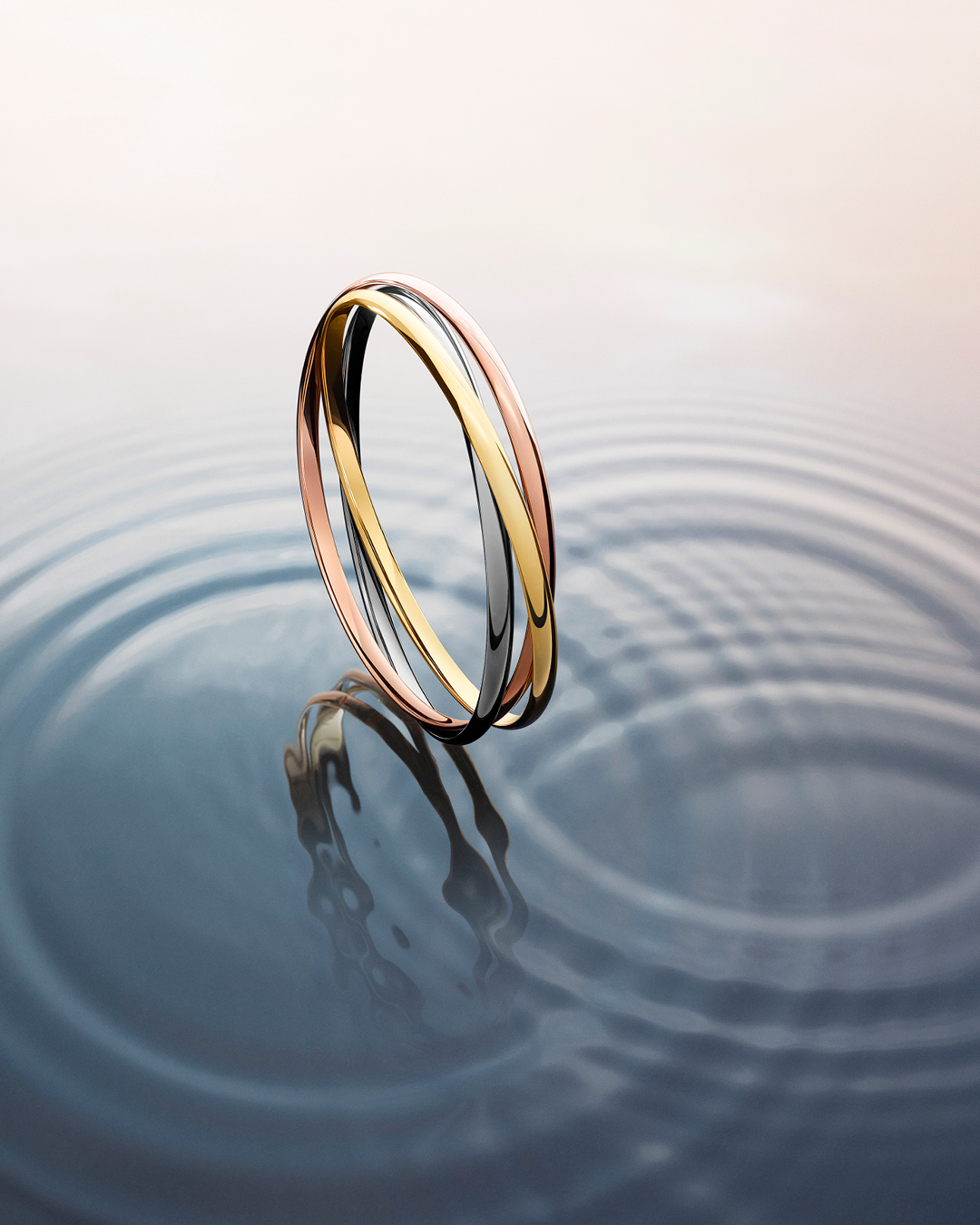 Pauline Choffe Craetive Paris Stories 009 CARTIER