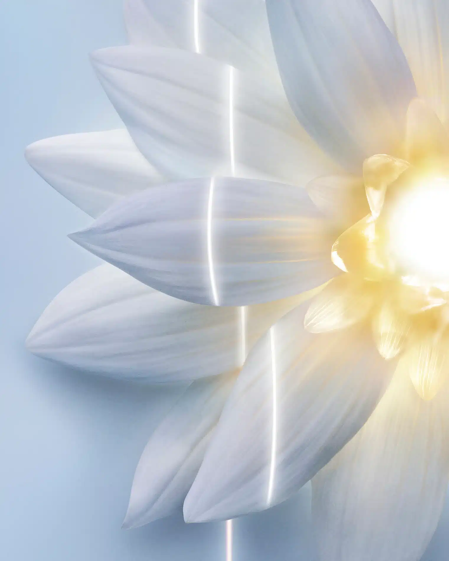 Fernando Gomez Still Life Science Helena Rubinstein14 Resultat