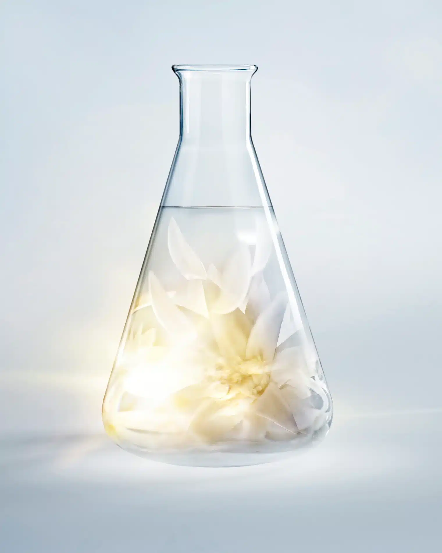 Fernando Gomez Still Life Science Helena Rubinstein7 Resultat