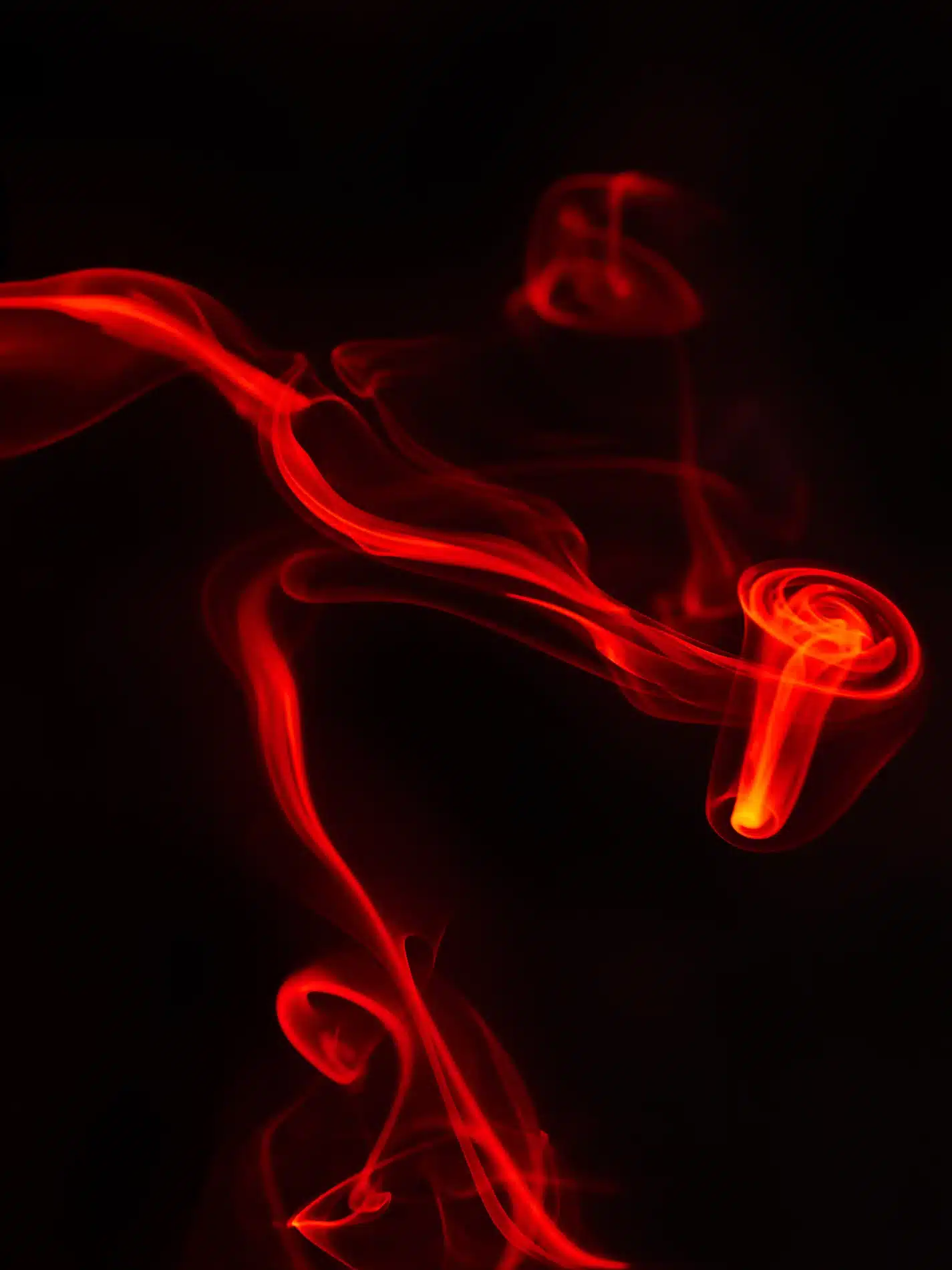 Fernando Gomez Craetive Paris Eulalia Fragrances 13 Resultat