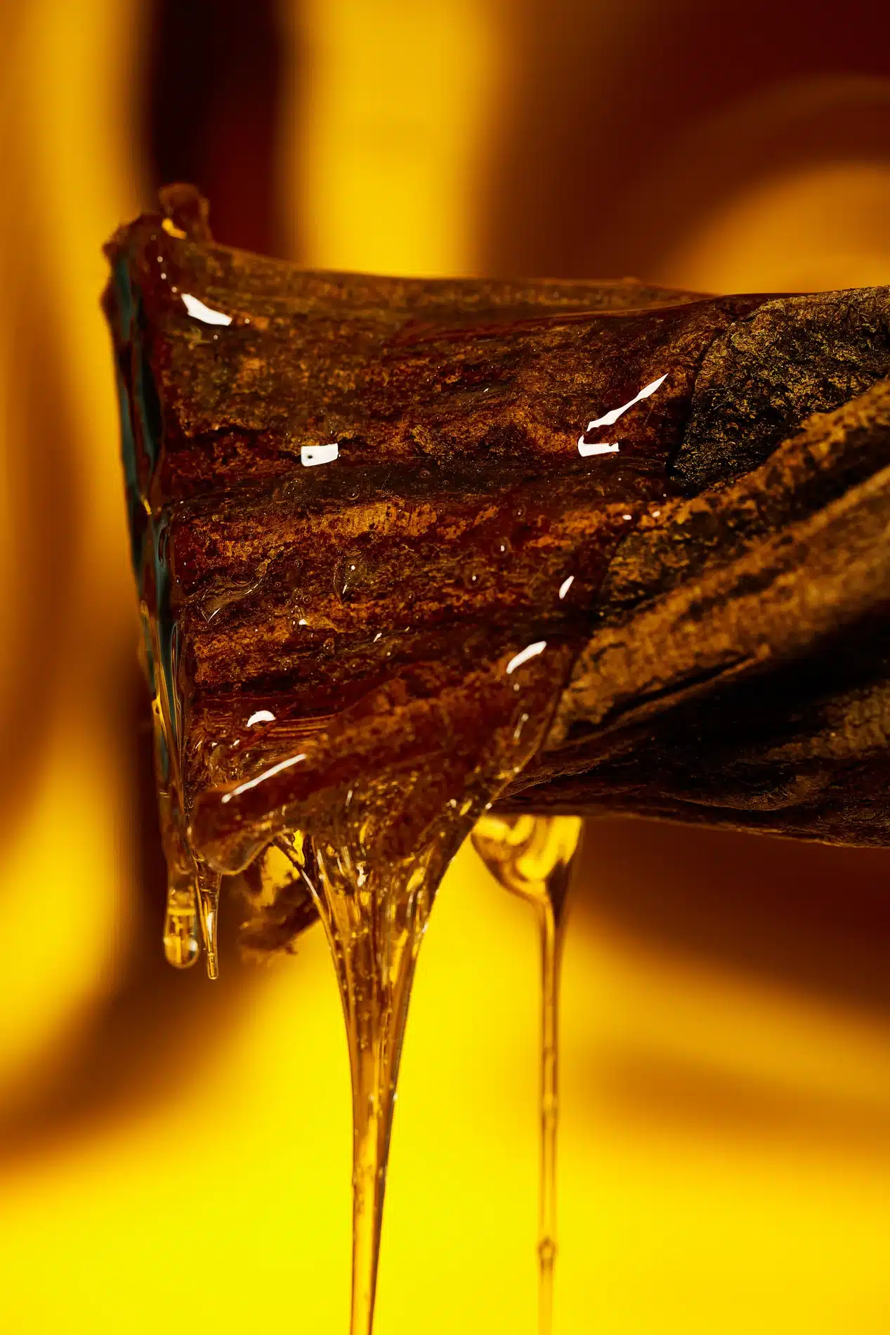 Fernando Gomez Craetive Paris Eulalia Fragrances 15 Resultat