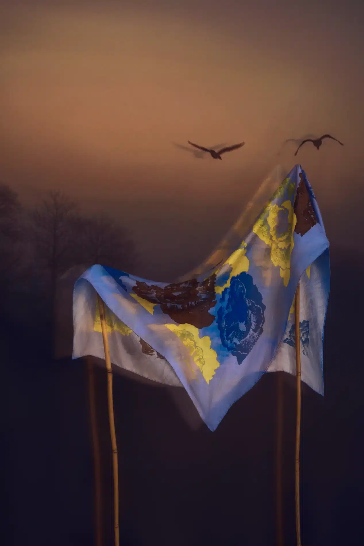 Fernando Gomez Craetive Paris Grazia Fashion 03 Resultat