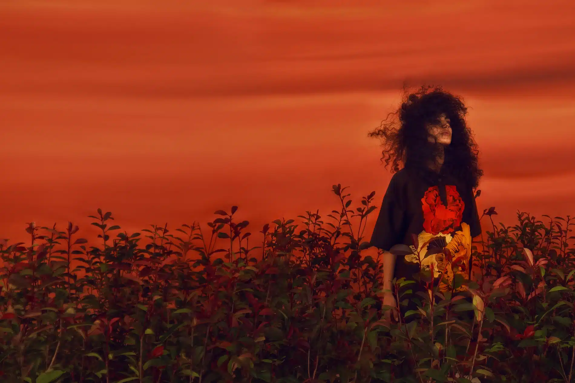 Fernando Gomez Craetive Paris Grazia Fashion 07 Resultat