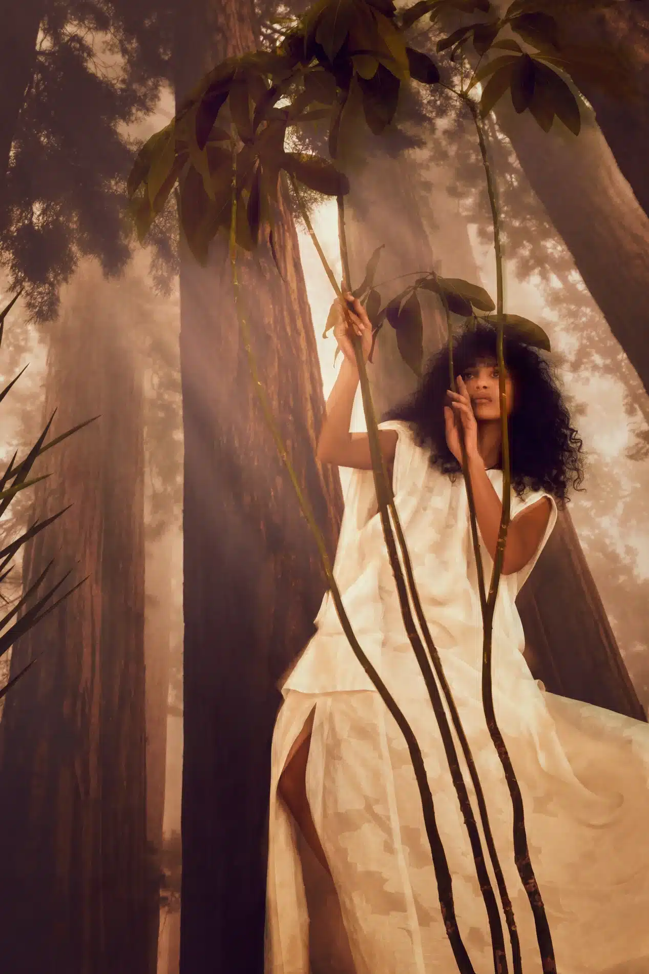 Fernando Gomez Craetive Paris Grazia Fashion 15 Resultat