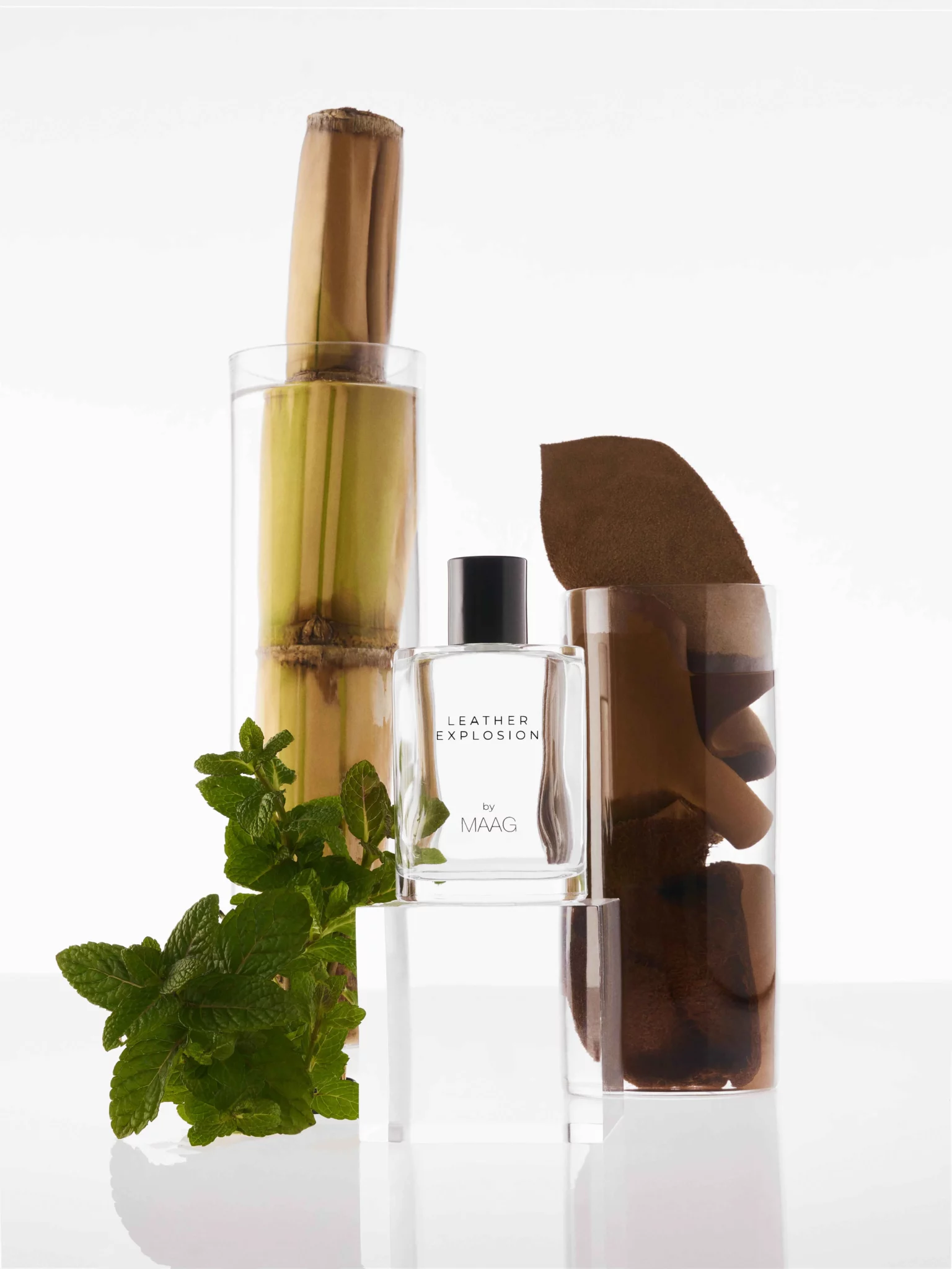 Fernando Gomez Craetive Paris Maag Fragrances 26 13