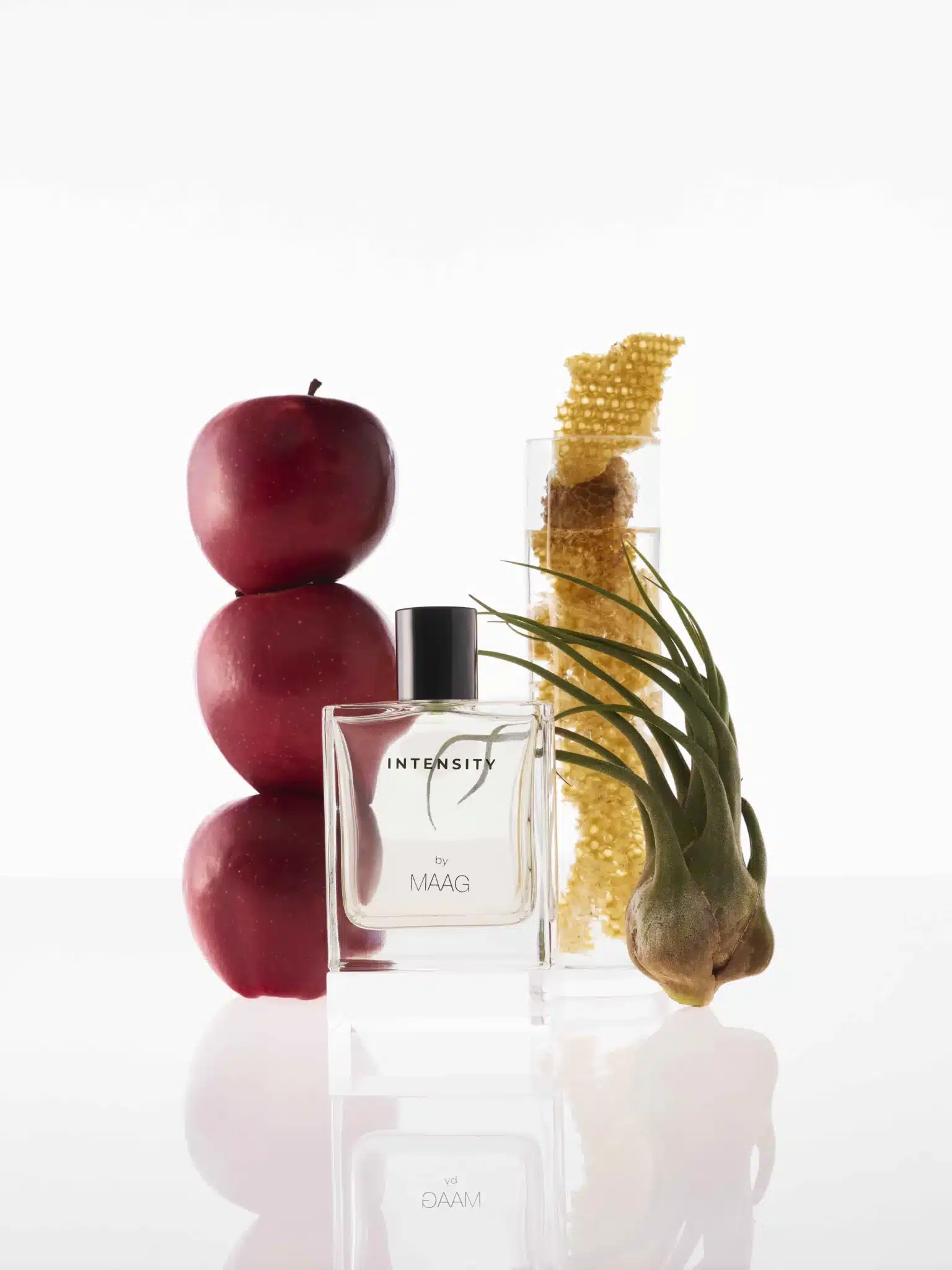 Fernando Gomez Craetive Paris Maag Fragrances 26 15
