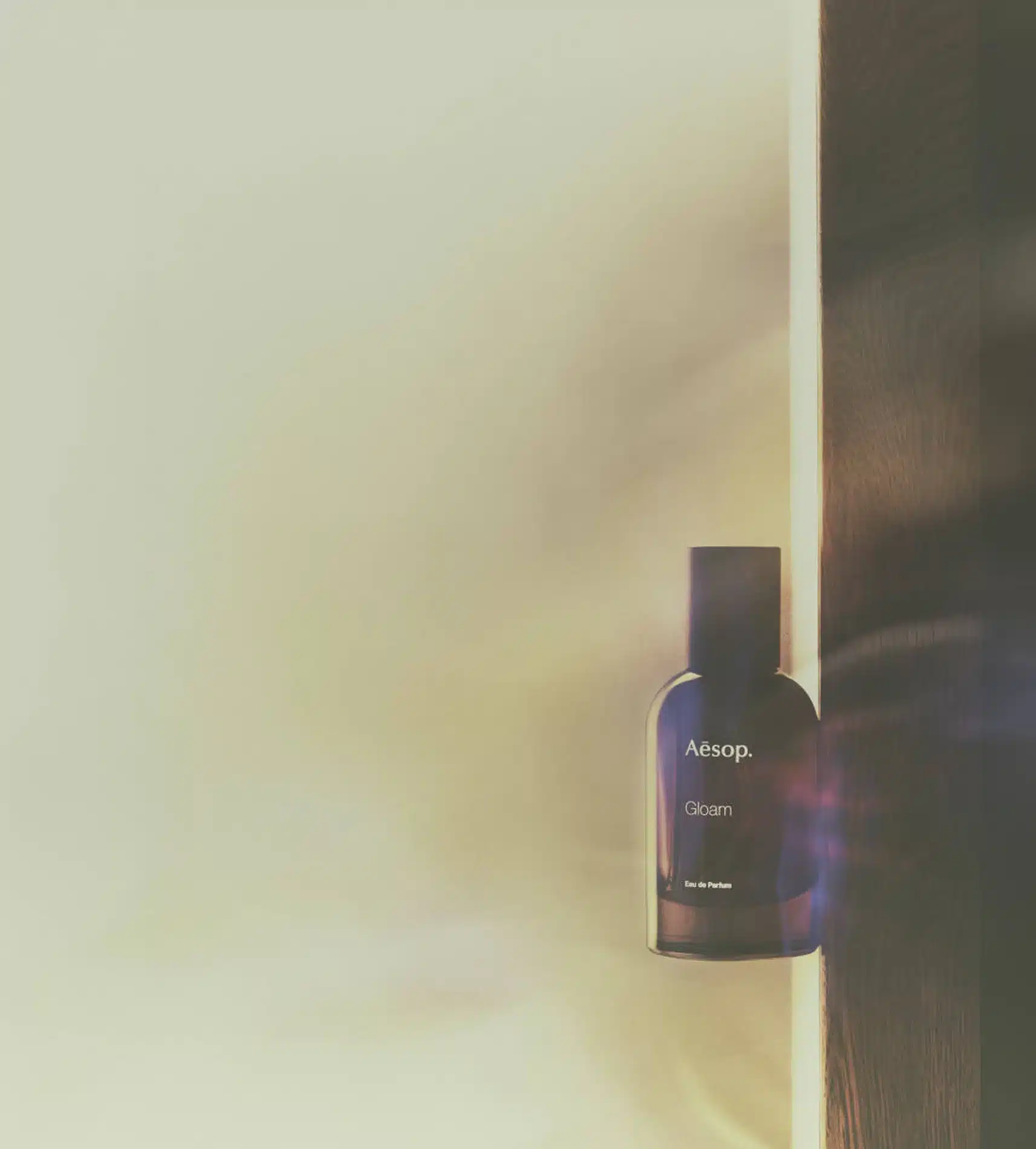 Henrik Bulow Craetive Paris Aesop 11 Resultat