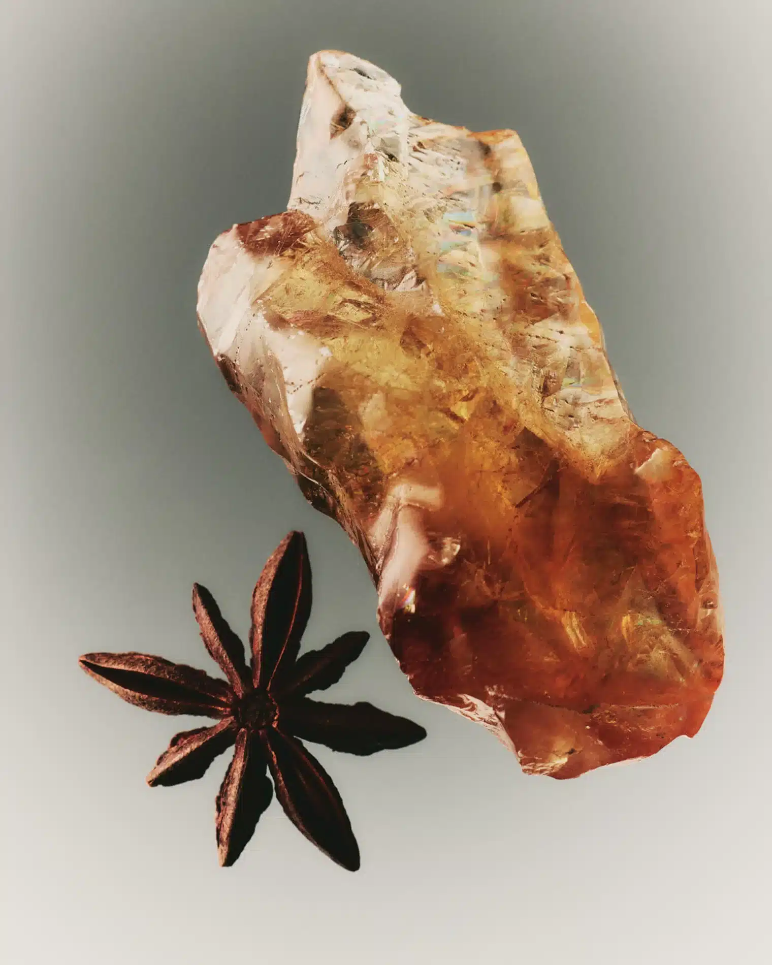 Oscar Calleja Craetive Paris Adolfo Dominguez Fragrances 01 Resultat