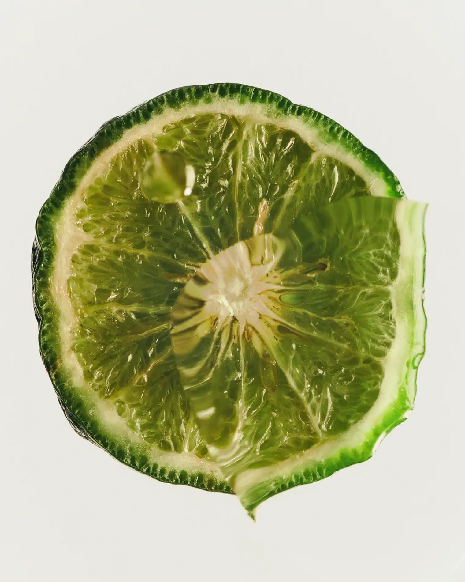 Oscar Calleja Craetive Paris Adolfo Dominguez Fragrances 09 Resultat